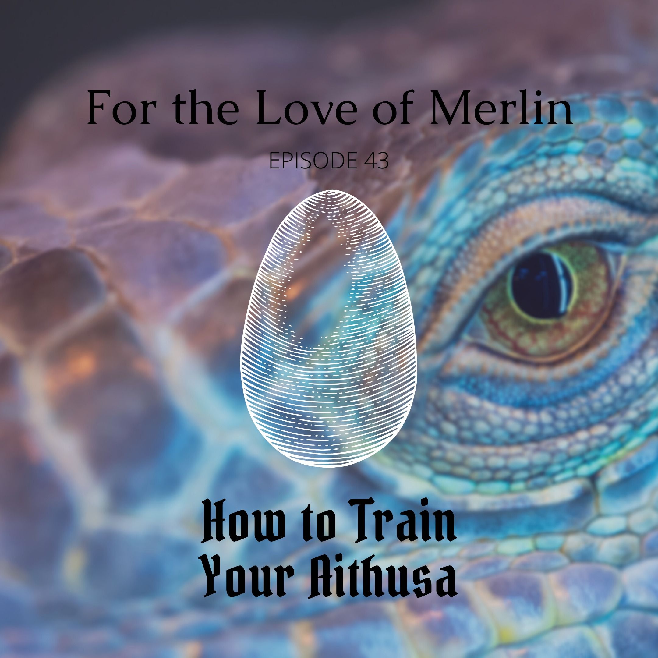 How to Train Your Aithusa