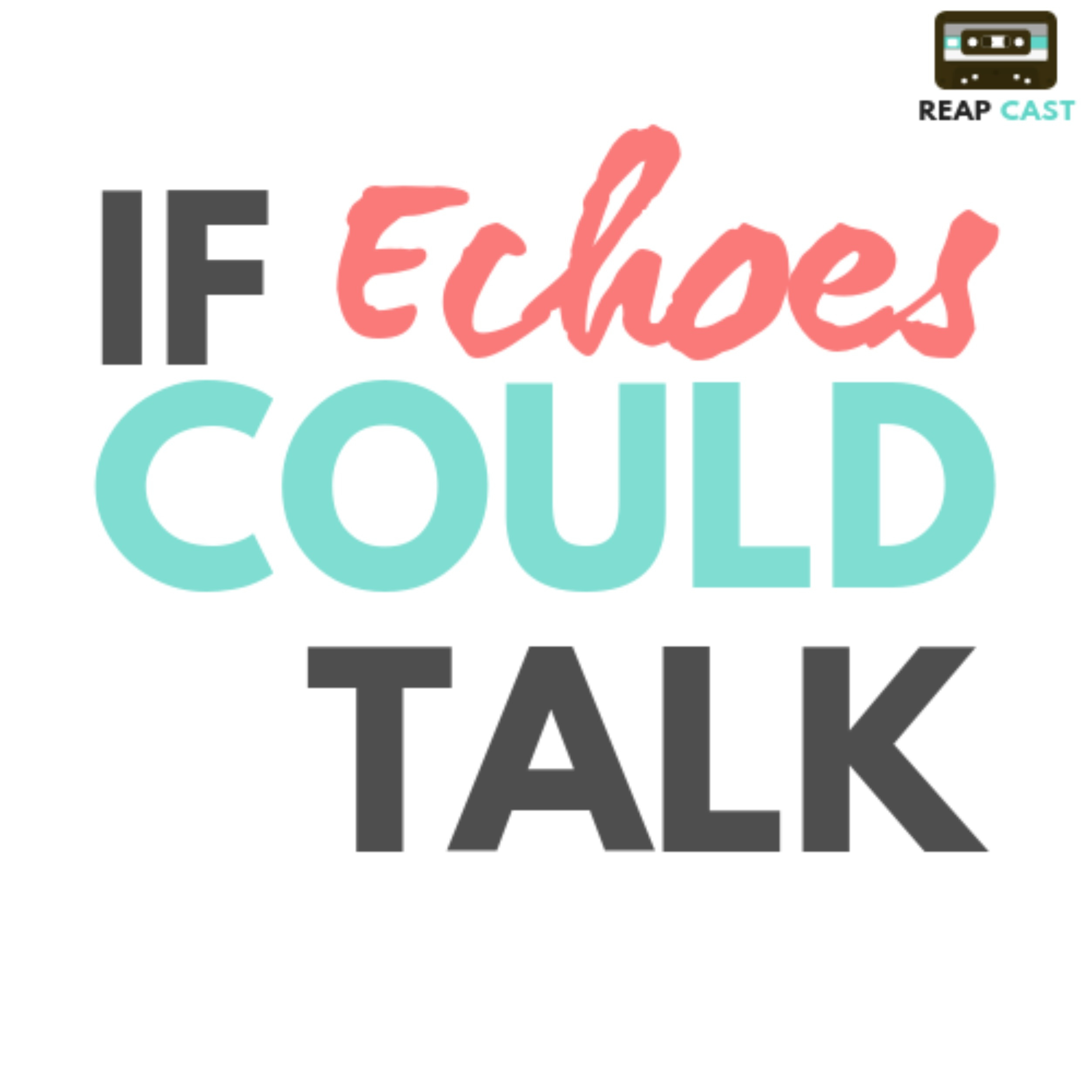 If Echoes Could Talk If Echoes Could Talk