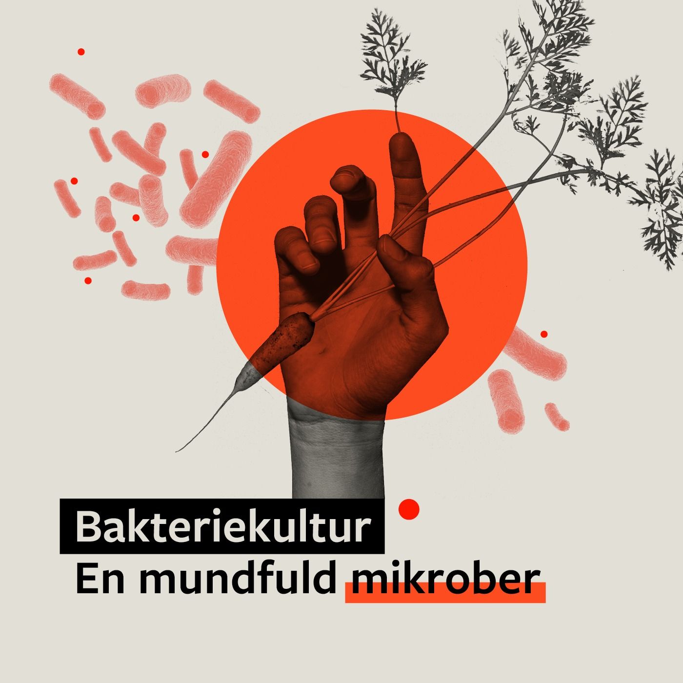 Medicinsk Museion