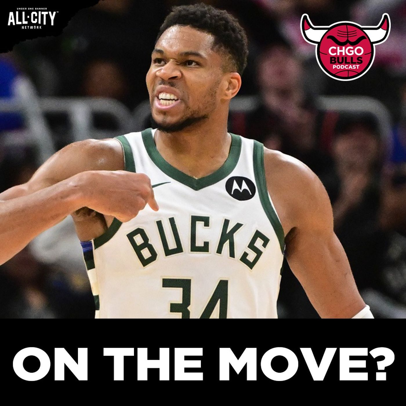 Should Bulls TRADE for Giannis?