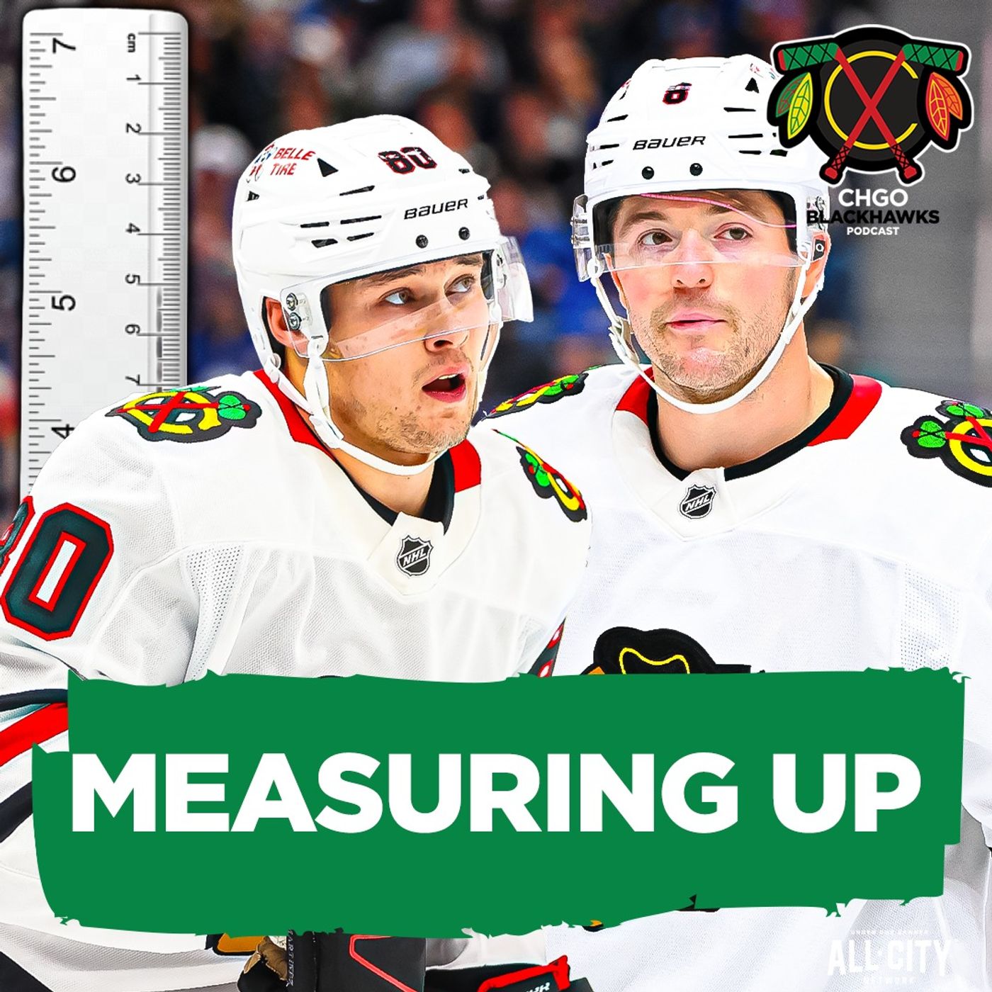 How Do the Chicago Blackhawks Rank in SIZE Compared to the Rest of the NHL? | CHGO Blackhawks
