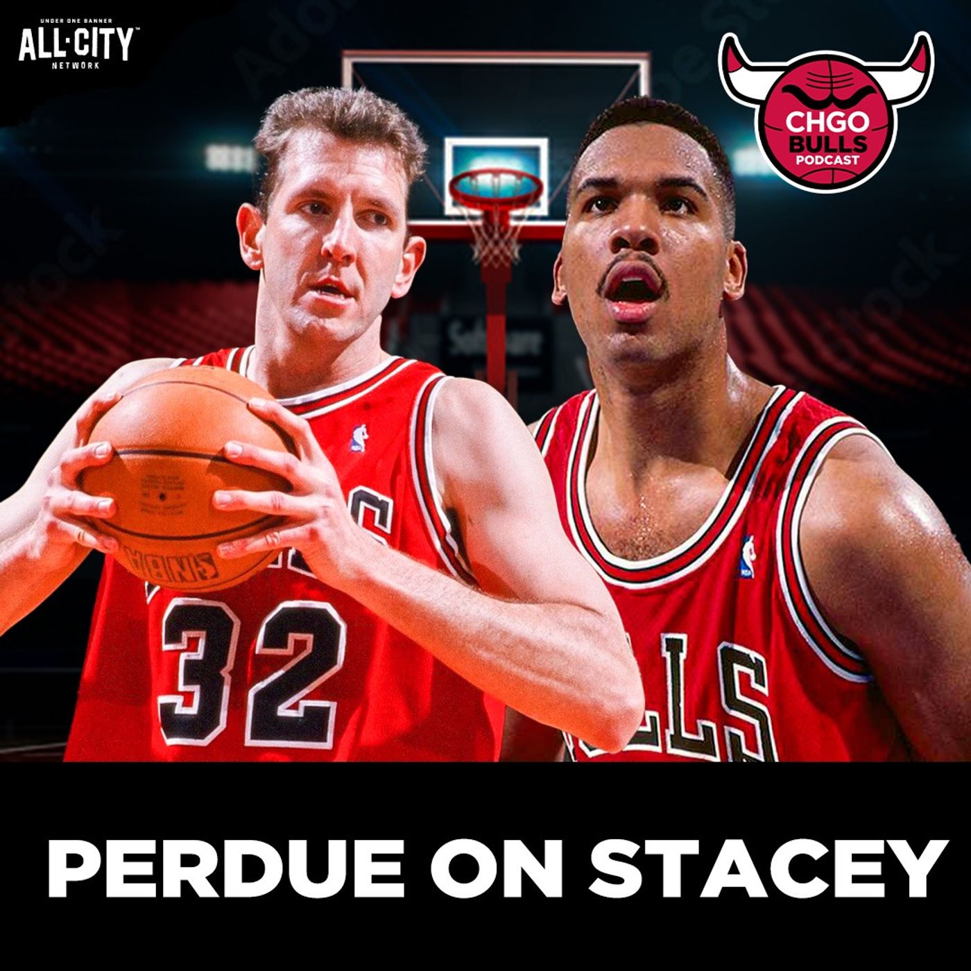 BTS on the 90's Bulls: Will Perdue Celebrates the Life and Career of Stacey King