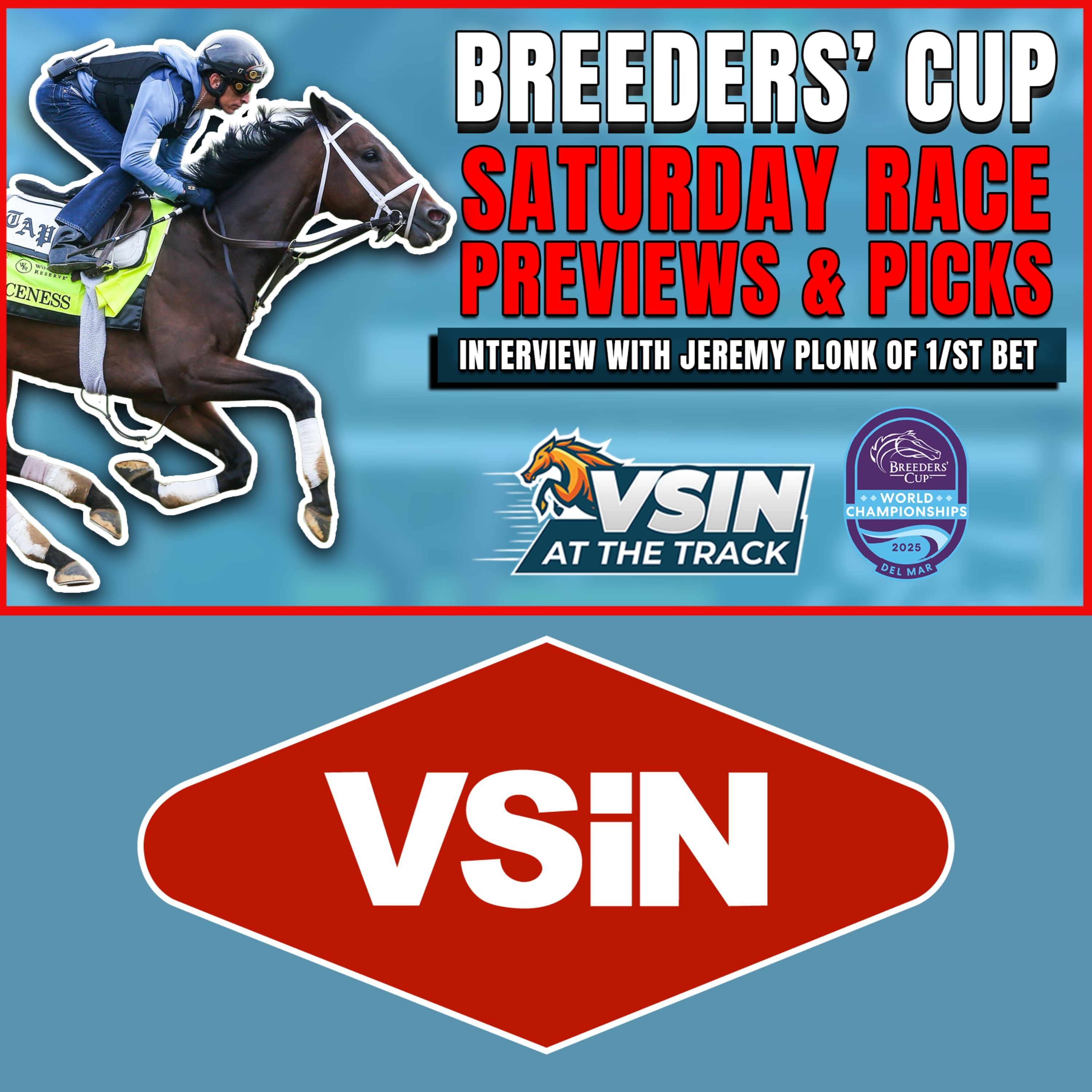 VSiN At The Track, A Horse Racing Podcast