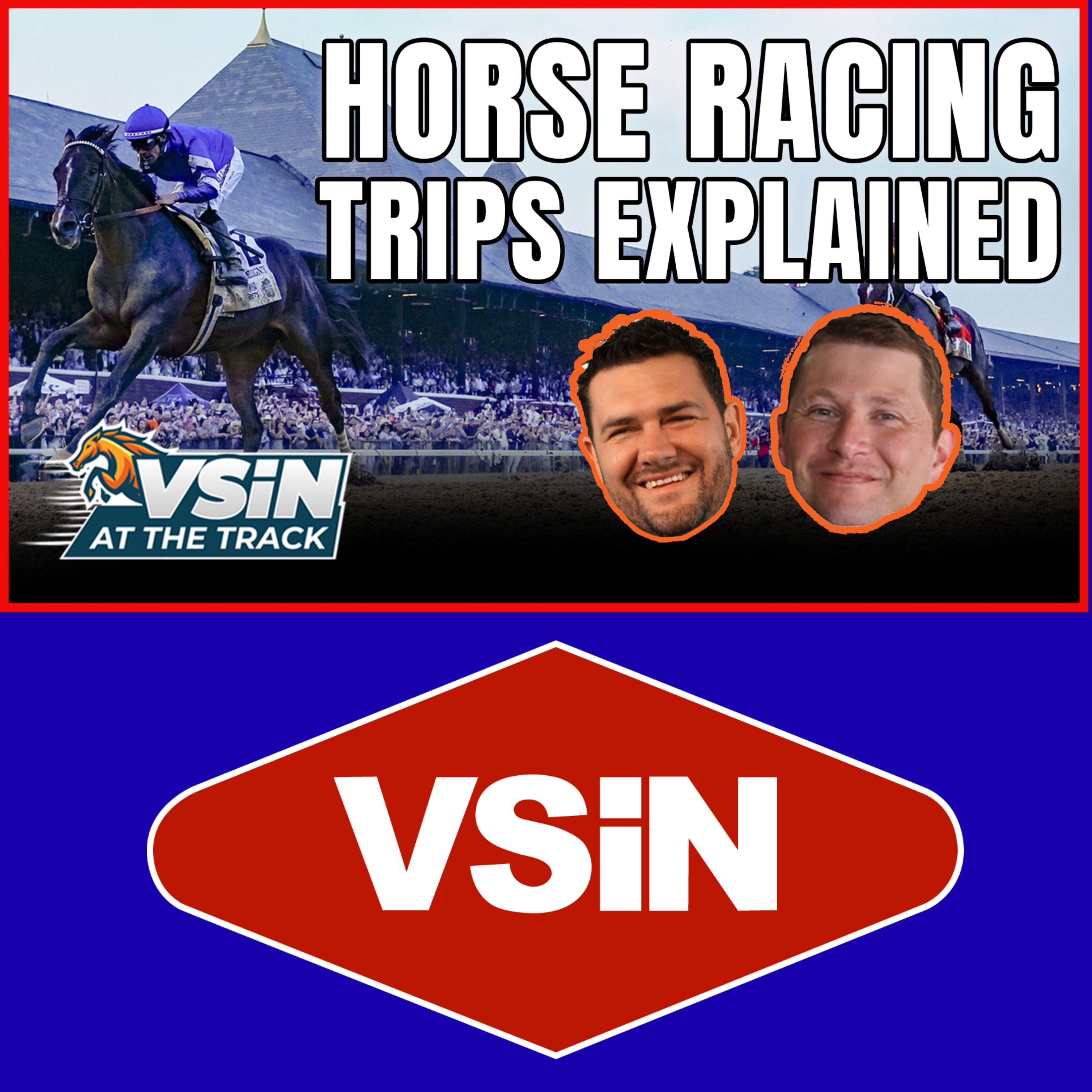 Horse Racing Terminology: What Is a Trip? episode artwork