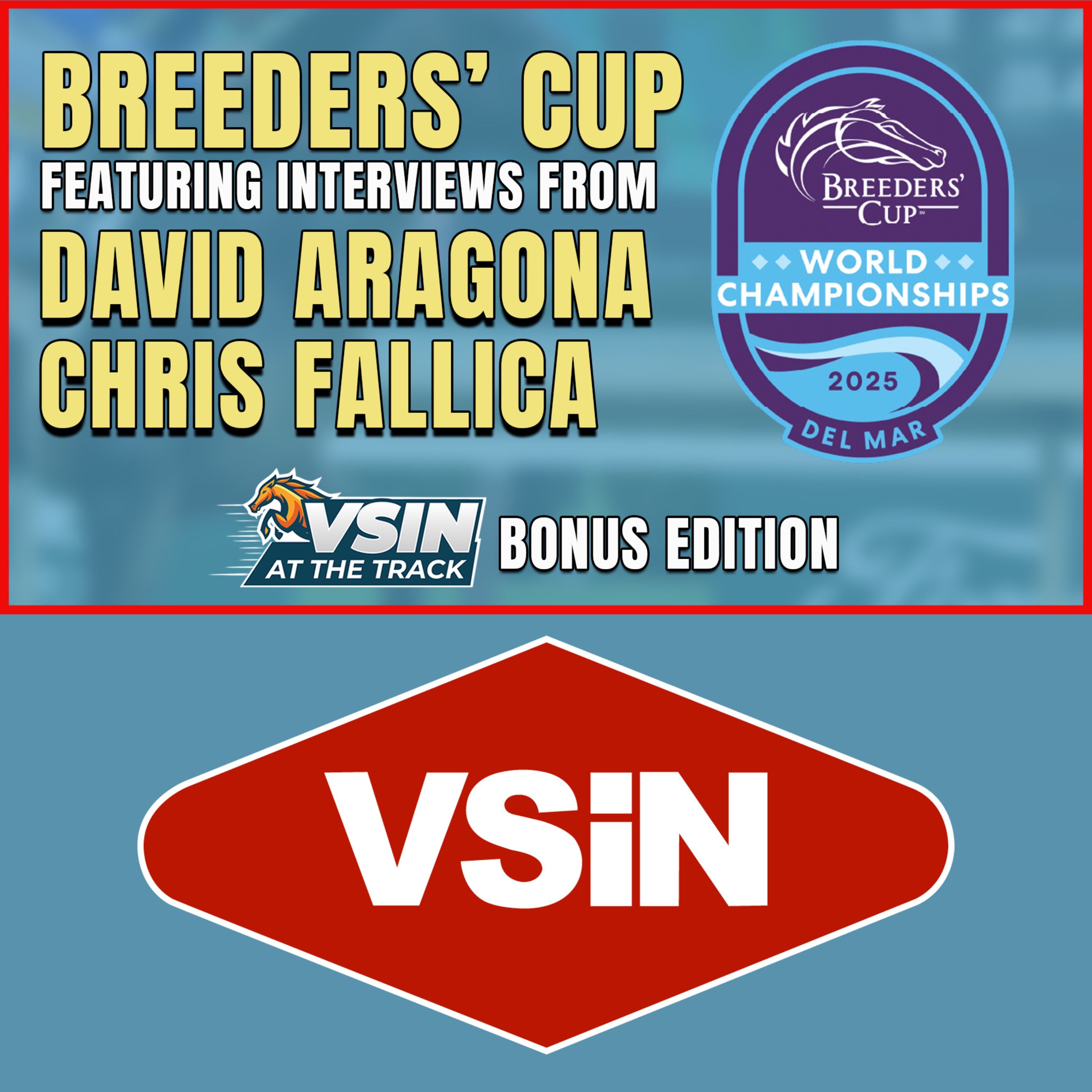 VSiN At The Track, A Horse Racing Podcast