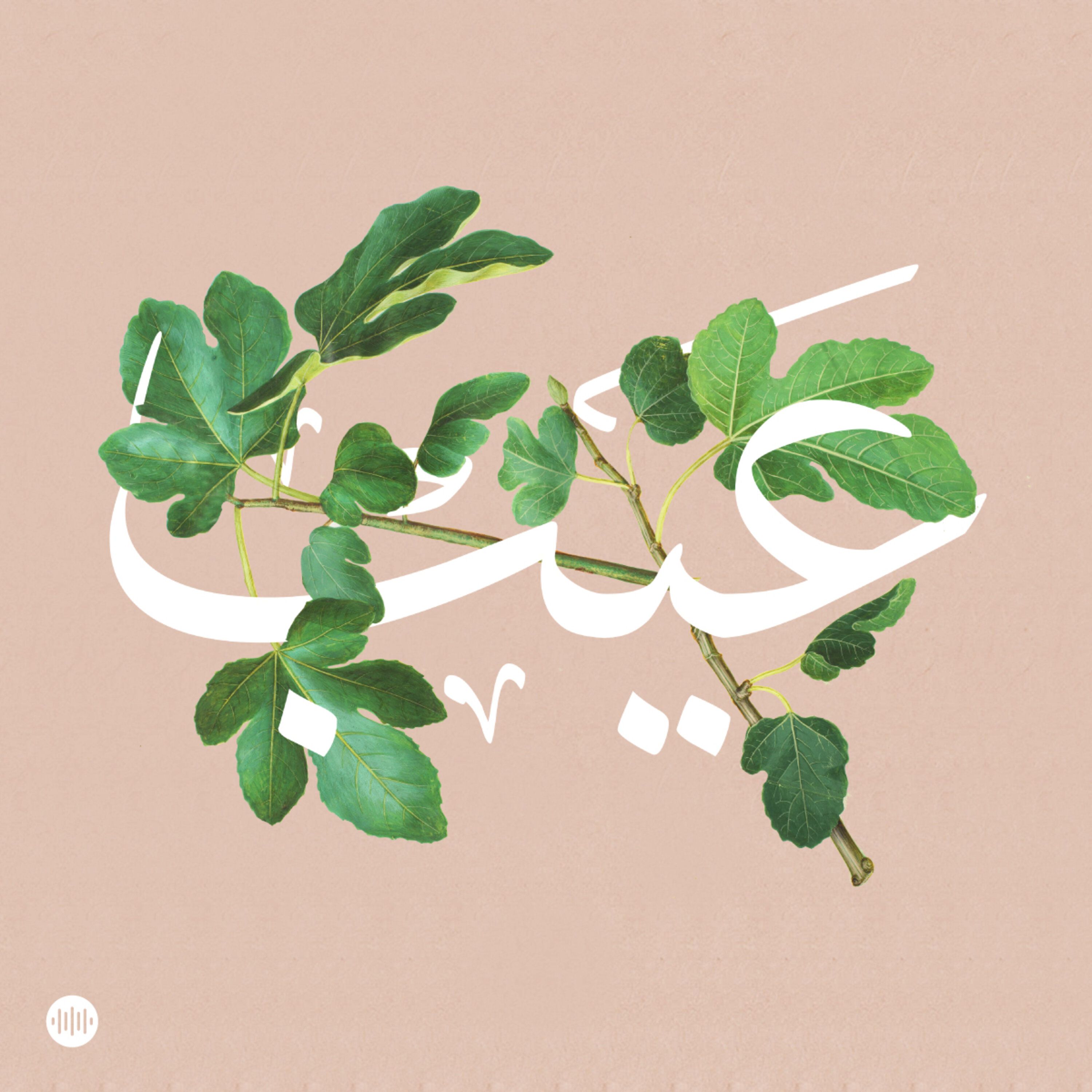 عن الحب والعلاقات وإحنا