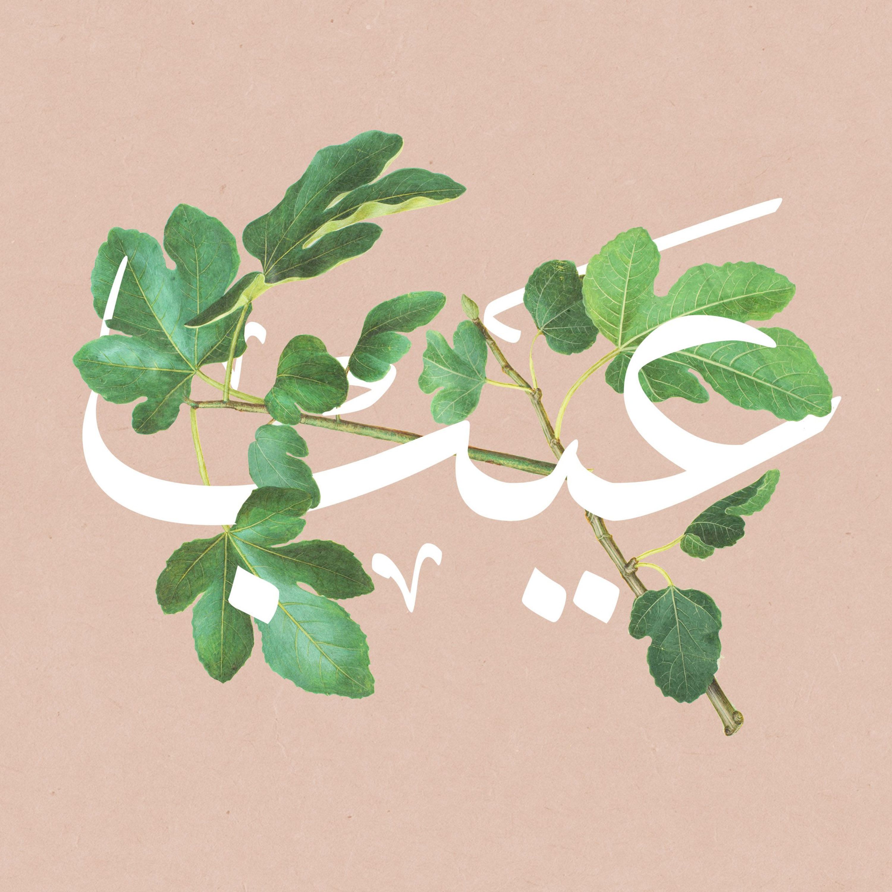 الأباء المطلقون ( الموسم ١ الحلقة ١)