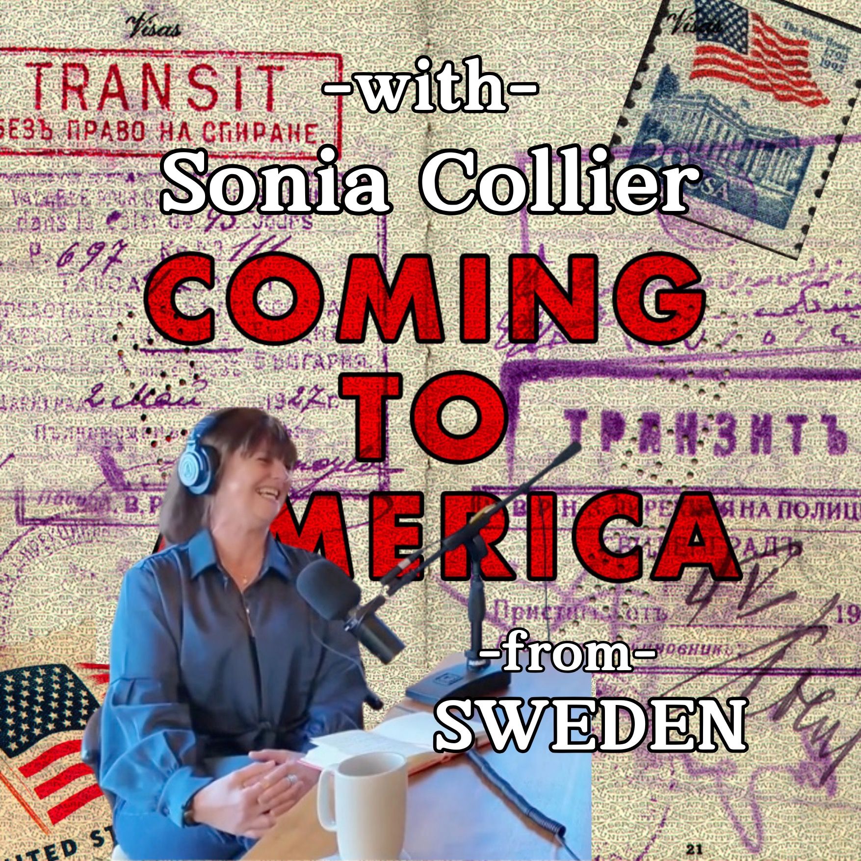 E17 - Swedish in the USA