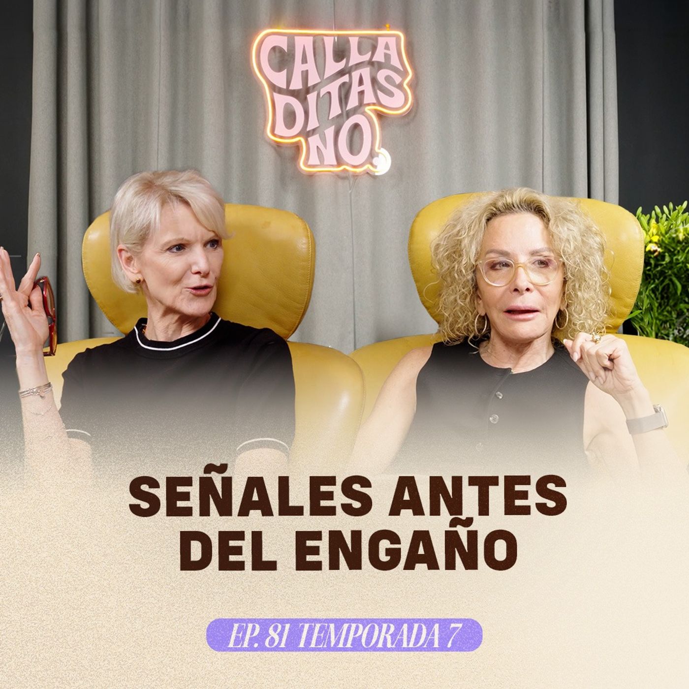 #81 Desconexión emocional: ¿Por qué ya no hablamos con amor? - Pareja, infidelidad y comunicación