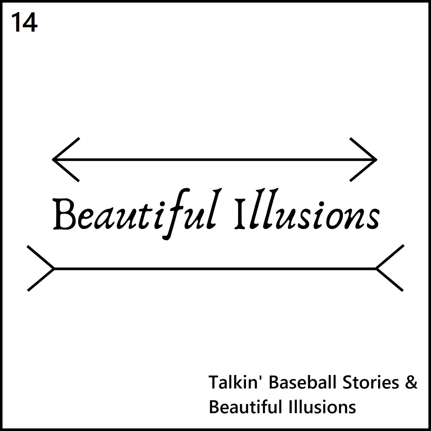 Beautiful Illusions