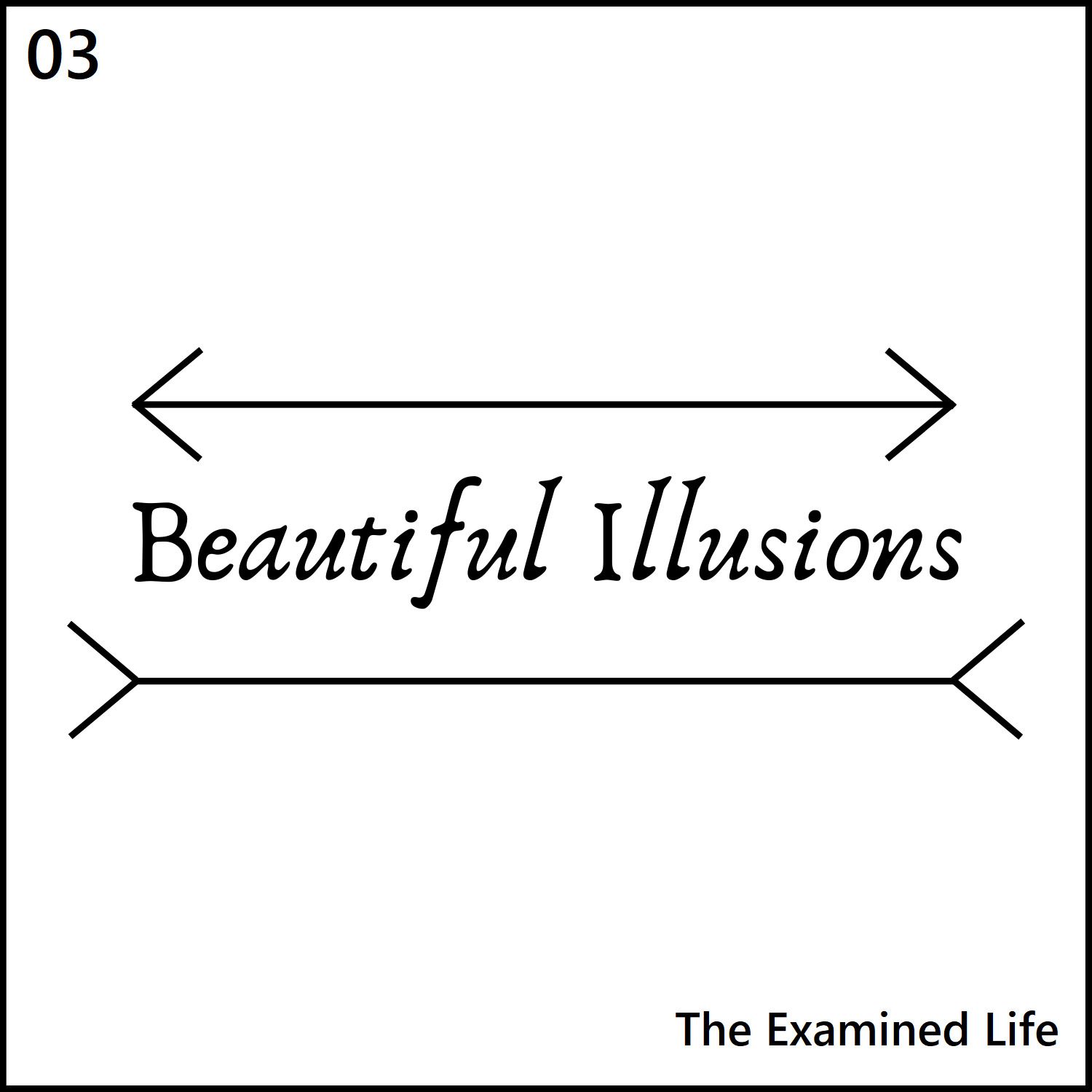 Beautiful Illusions