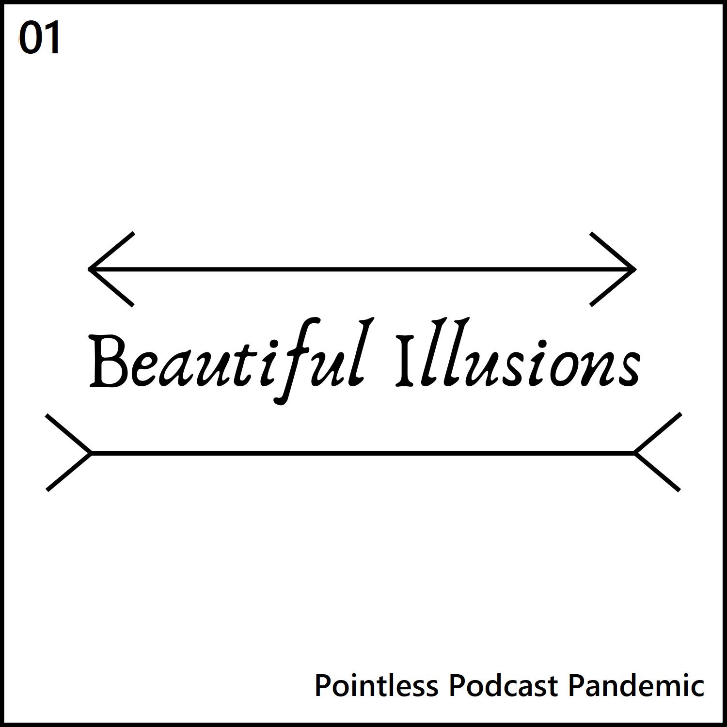 Beautiful Illusions