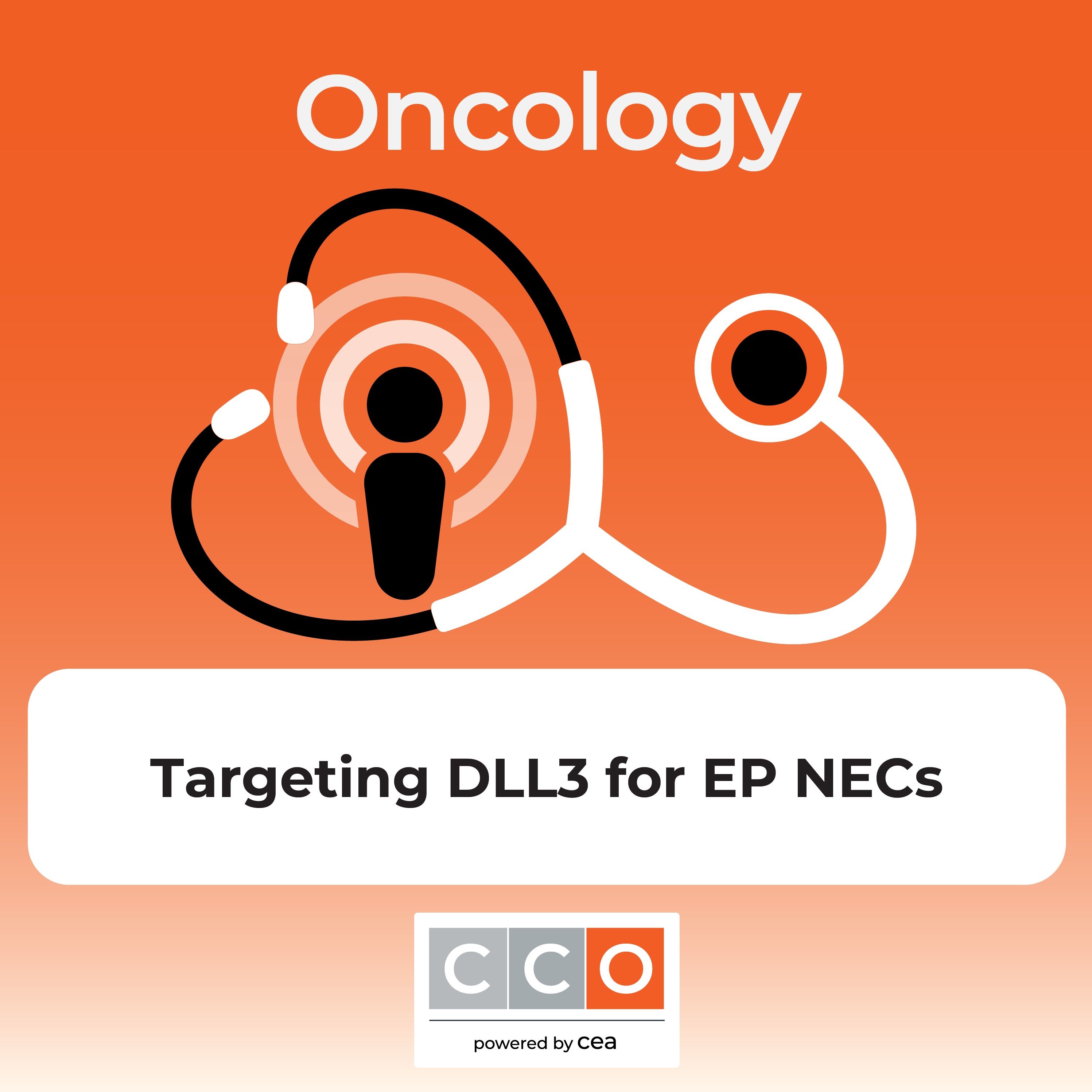 Emerging DLL3-Targeted Therapies for Extrapulmonary Neuroendocrine Carcinomas
