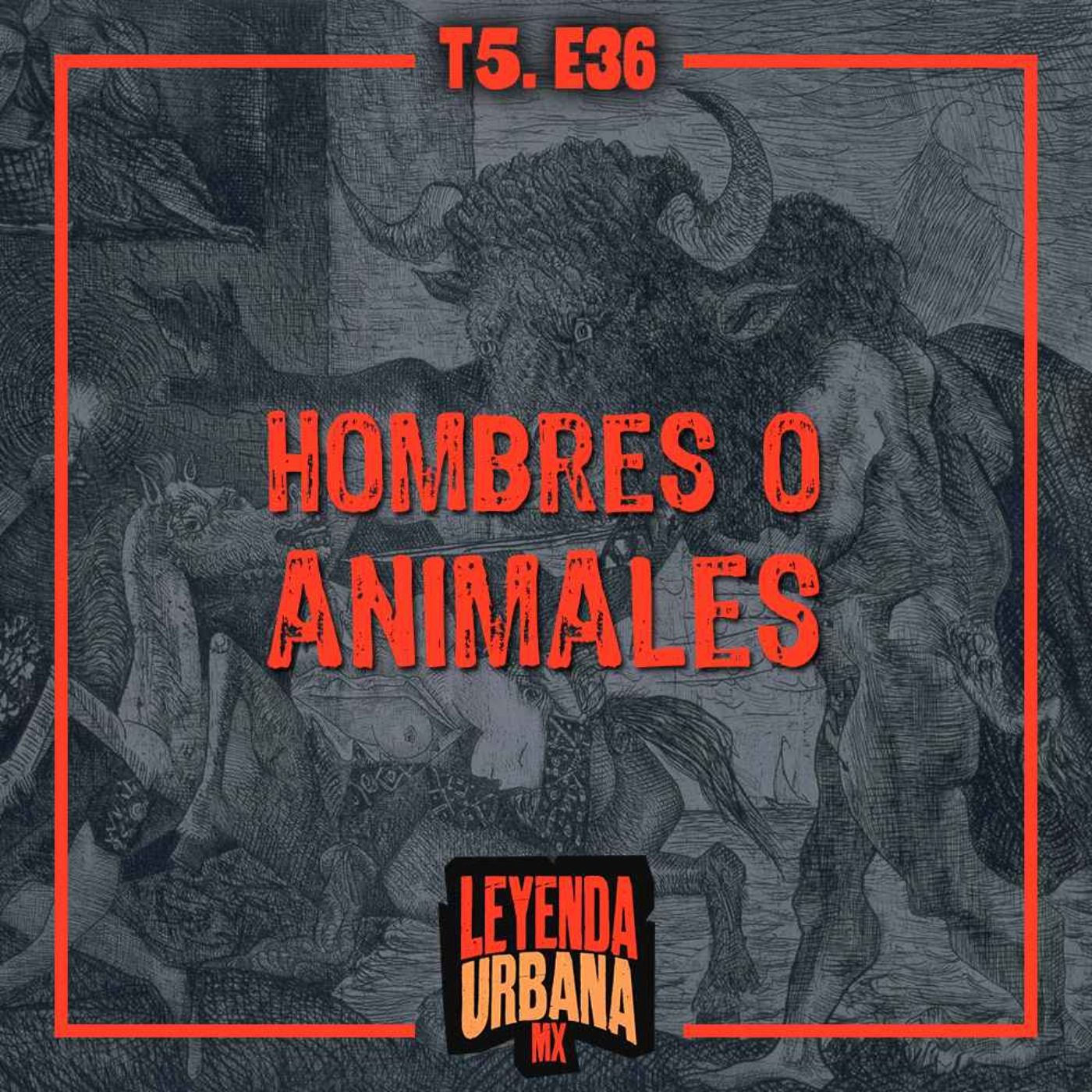 T5. E36: Leyendas de seres mitad hombre, mitad animal