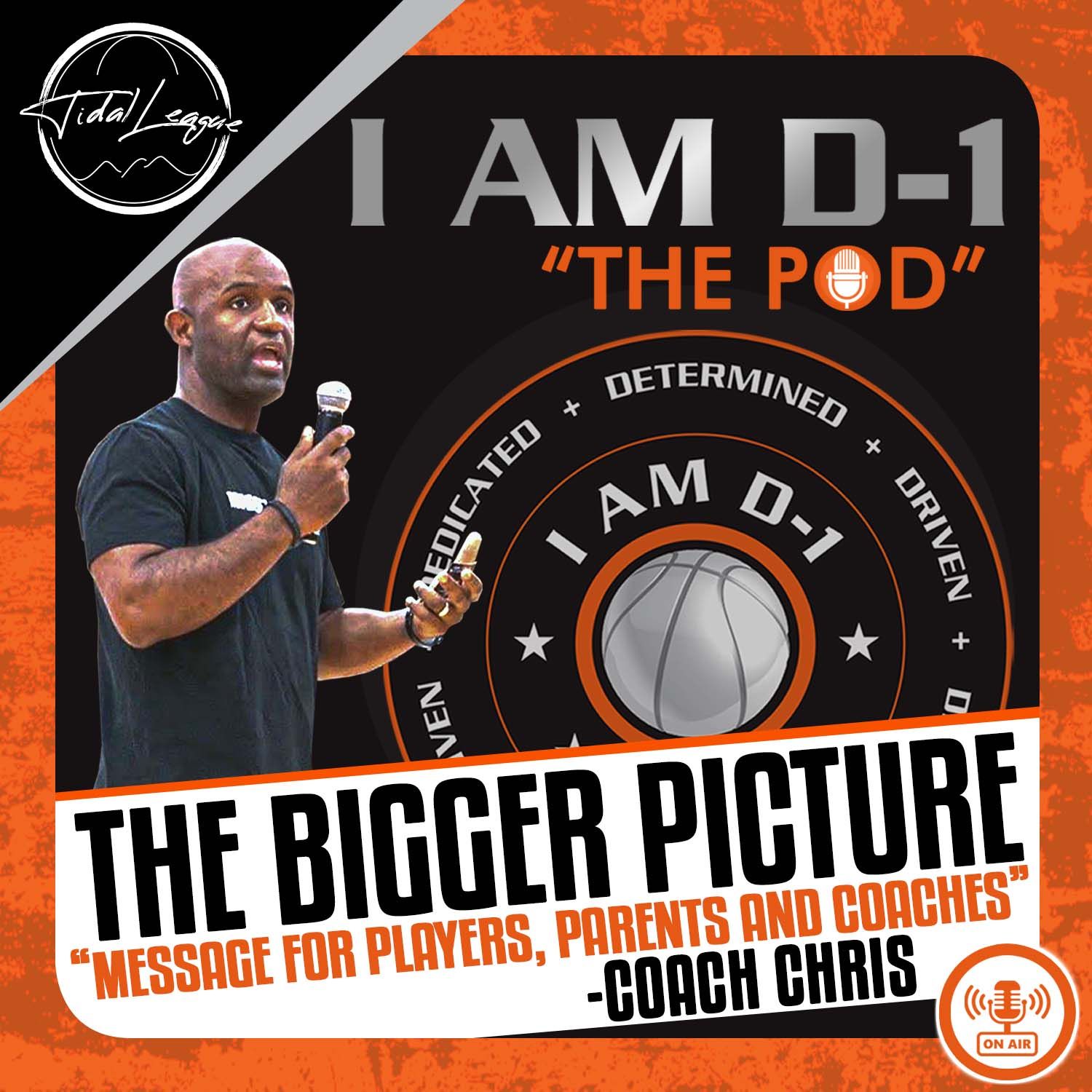 The Bigger Picture…