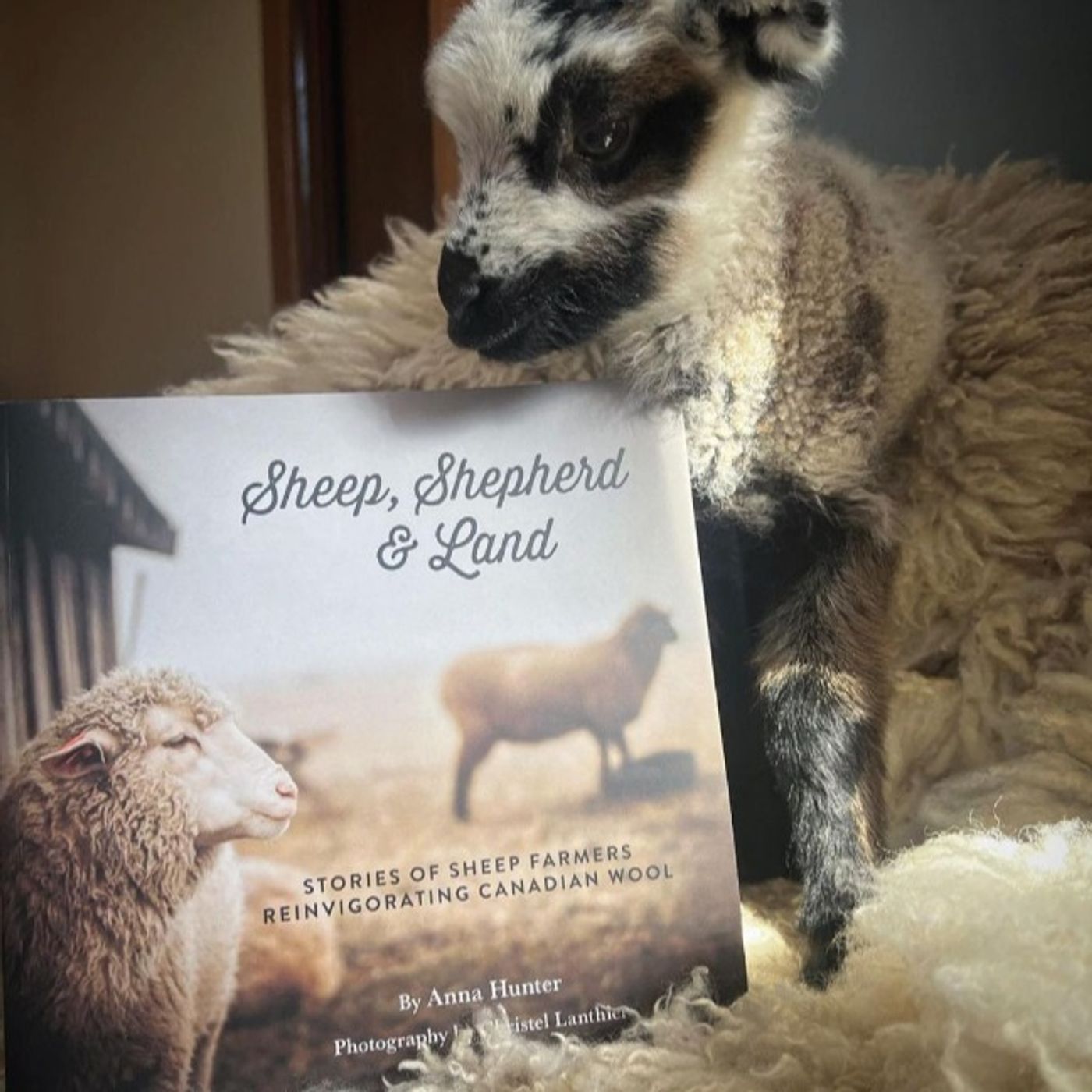 Manitoba Fiber Farming