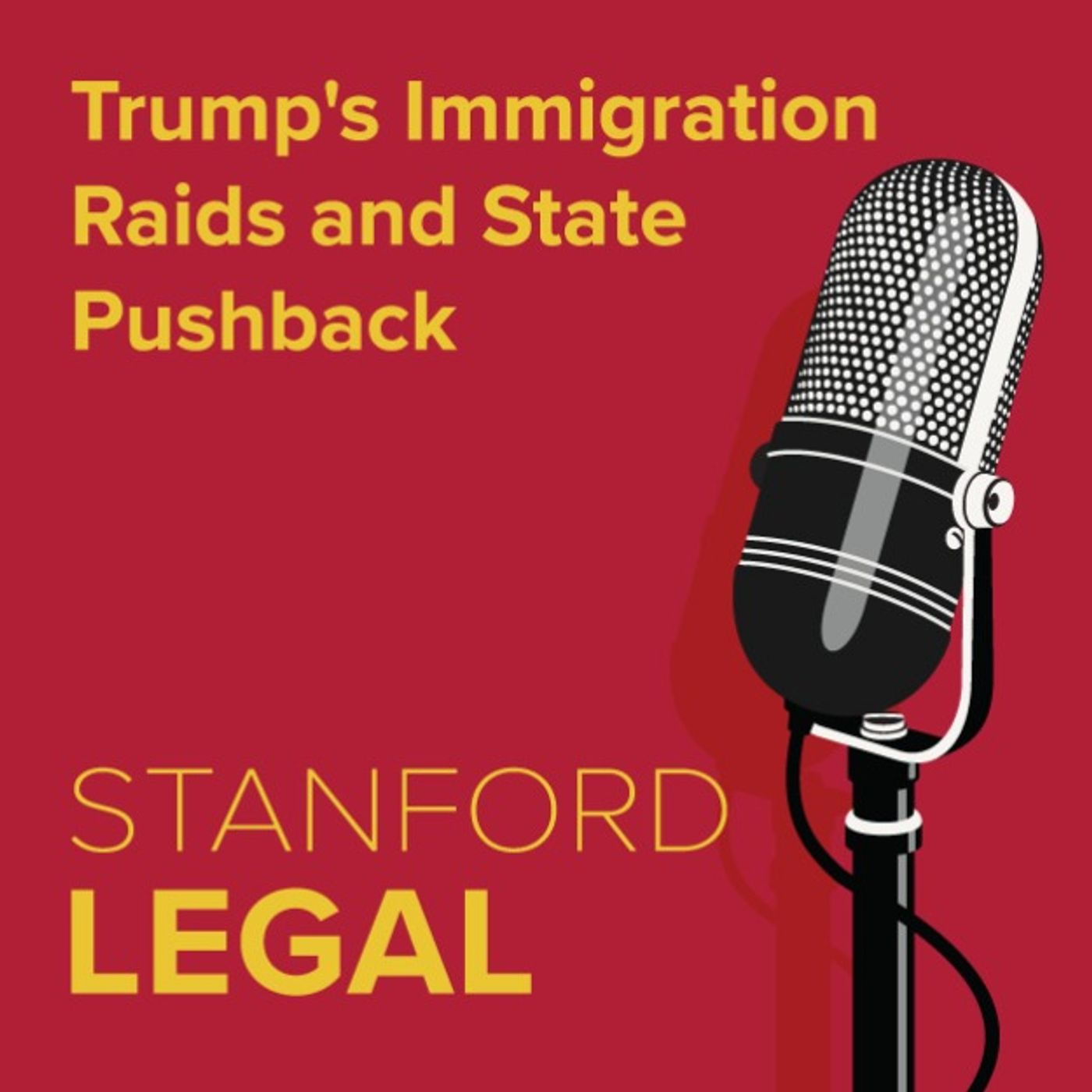 Trump's Immigration Raids and State Pushback