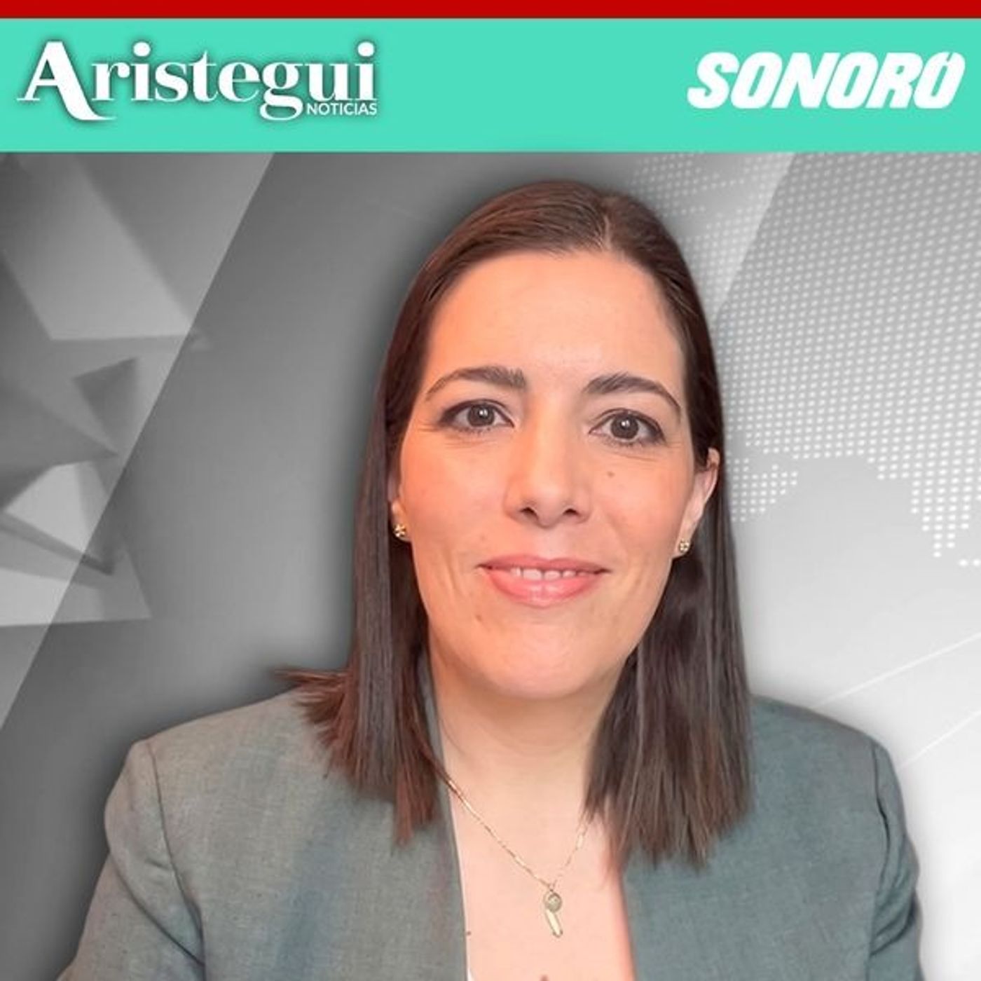 Lineamientos de radio y TV aún no son públicos, señala Consejo de Litigio Estratégico | Mariana Calderón