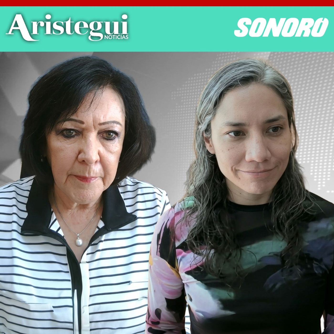 Comité de la ONU ya decidió sobre desapariciones en México: Centro Prodh | María Luisa Aguilar Rodríguez y Elena Azaola Garrido