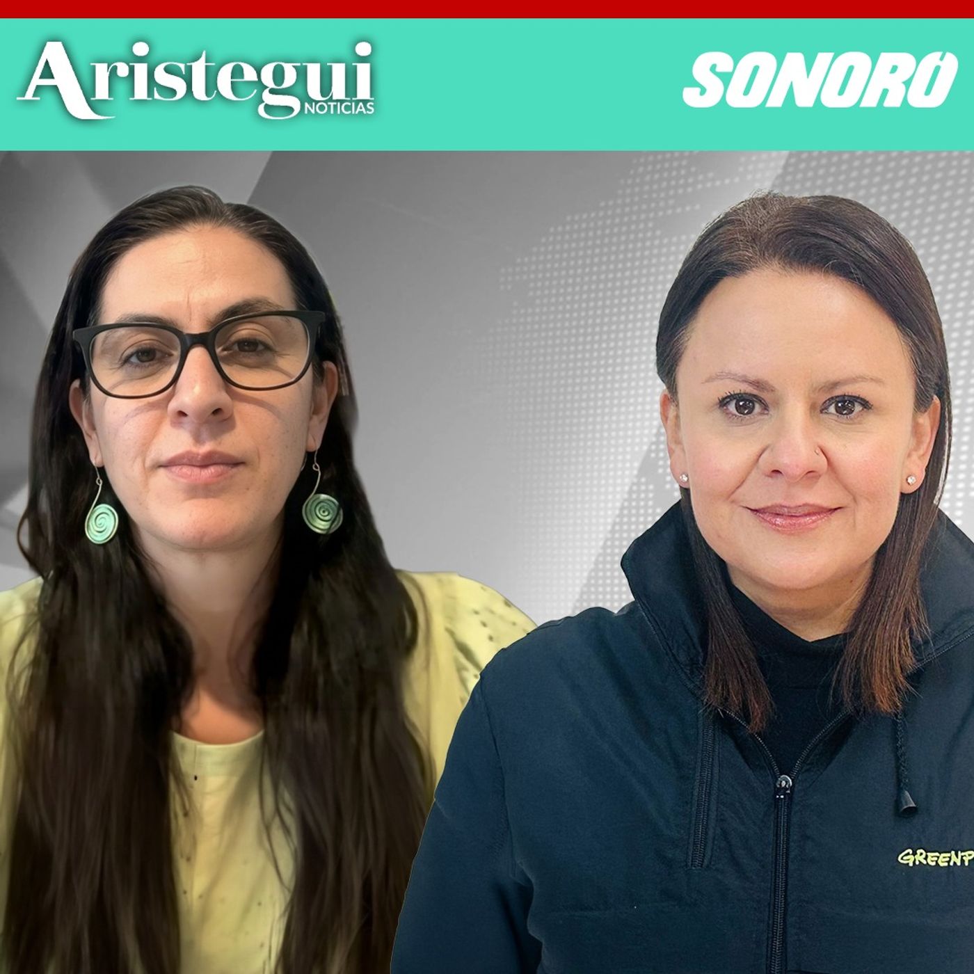 Greenpeace reporta 51 sitios con chapapote y 630 km afectados en el Golfo de México | Aleira Lara Galicia y Renata Terrazas