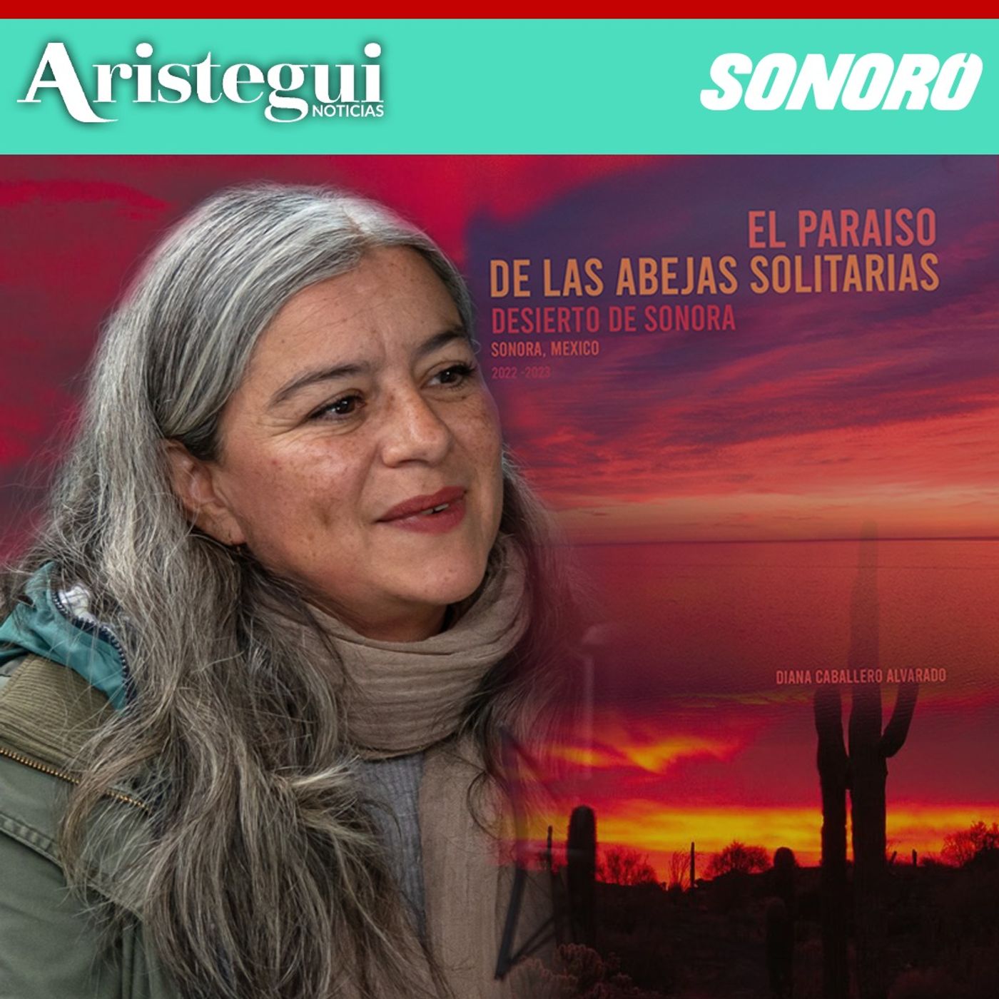 ¿Qué son las abejas solitarias? Diana Caballero las retrata en el  Desierto de Sonora | Diana Caballero