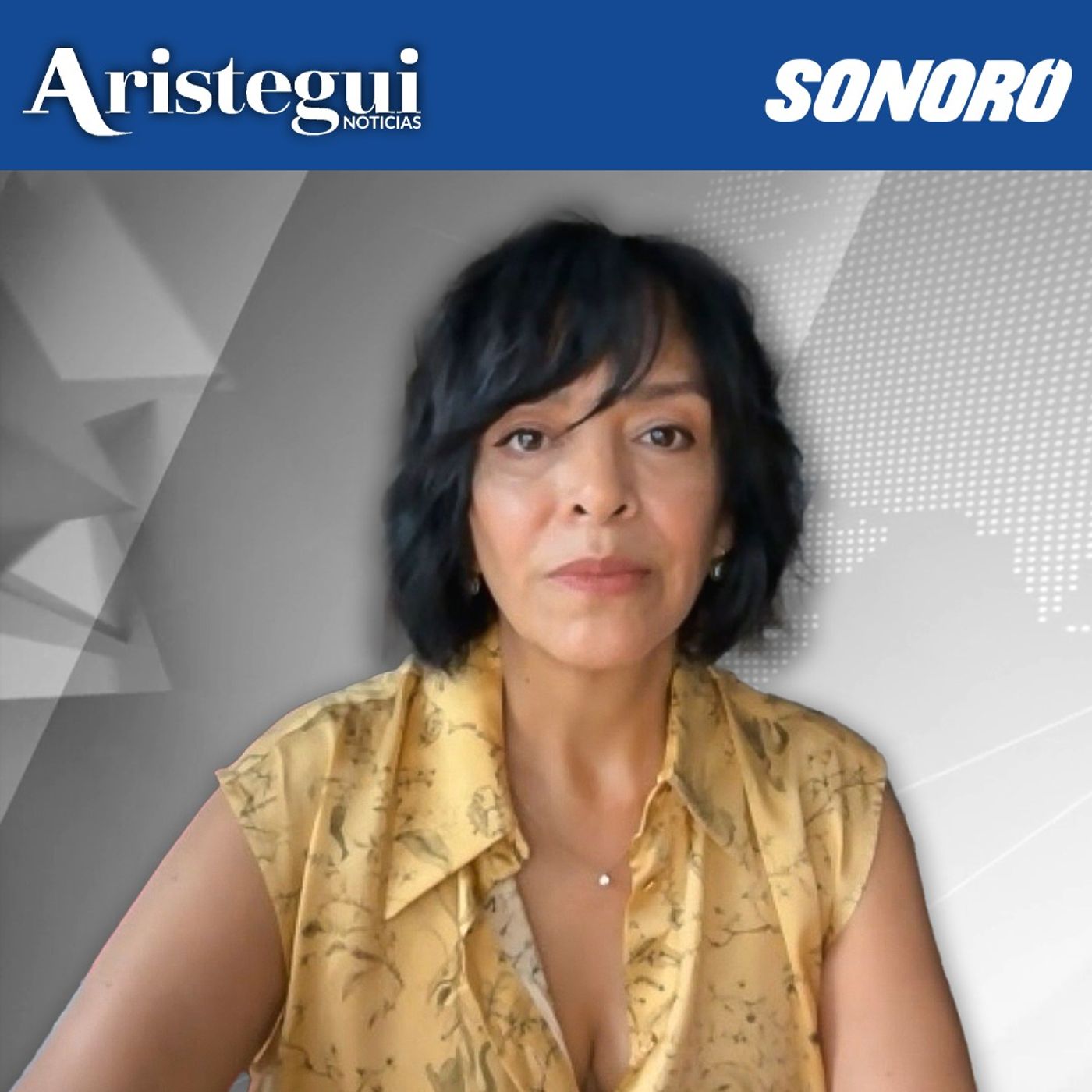 'Hay protección al más alto nivel' detrás de casos criminales en México | Anabel Hernández