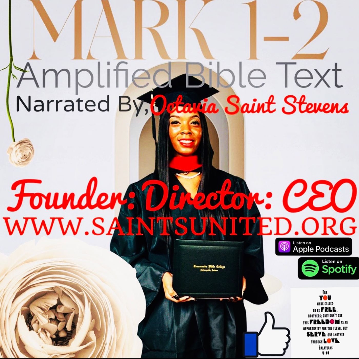 MARK 1-2 AMPLIFIED BIBLE TEXT episode artwork