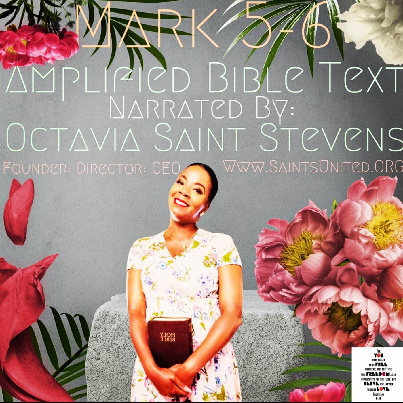 MARK 5-6 AMPLIFIED BIBLE episode artwork