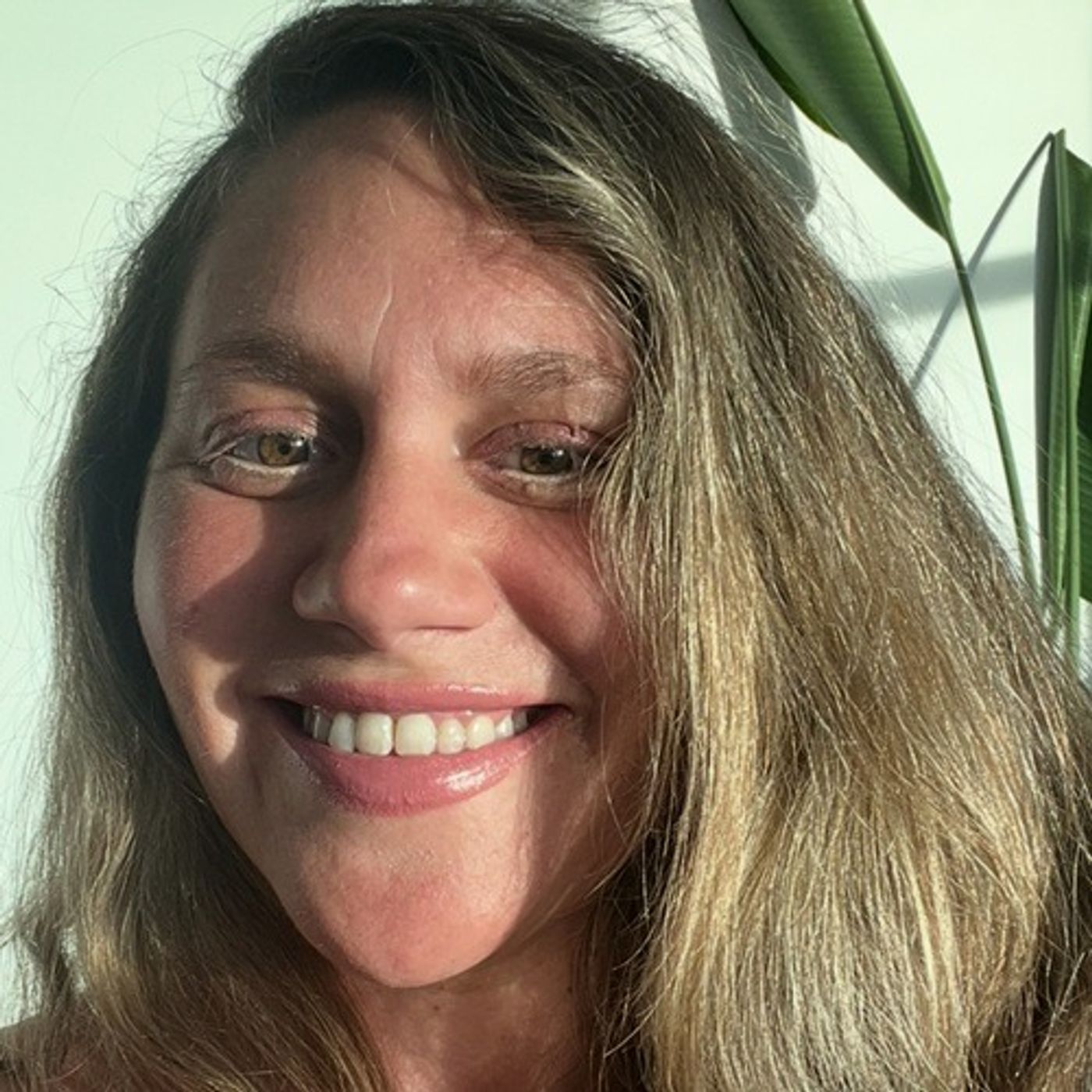 Re-Evolution of Consciousness