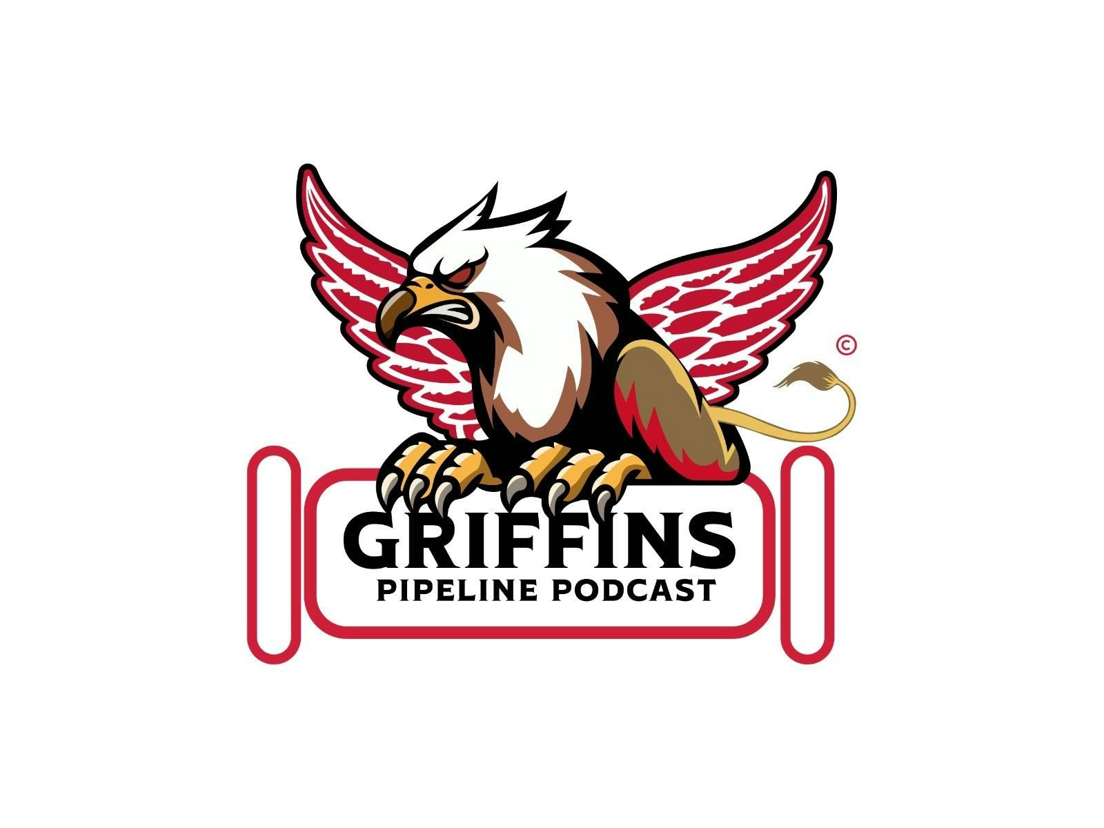 Ep 34 (ICEHOGS ELIMINATED) Game 4 recap Grand Rapids Griffins vs Rockford Ice Hogs episode artwork