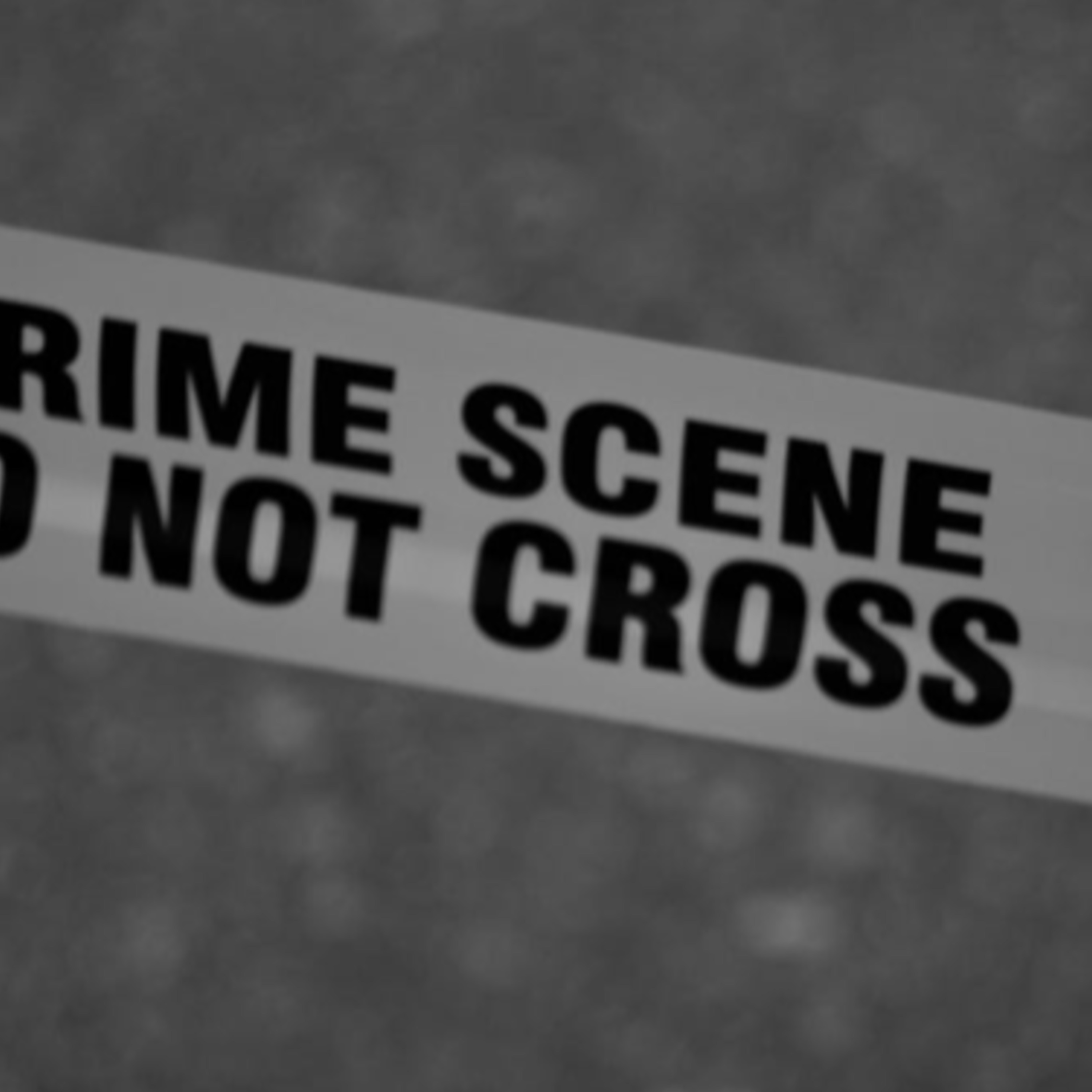 Genre Basics and Mystery Guest