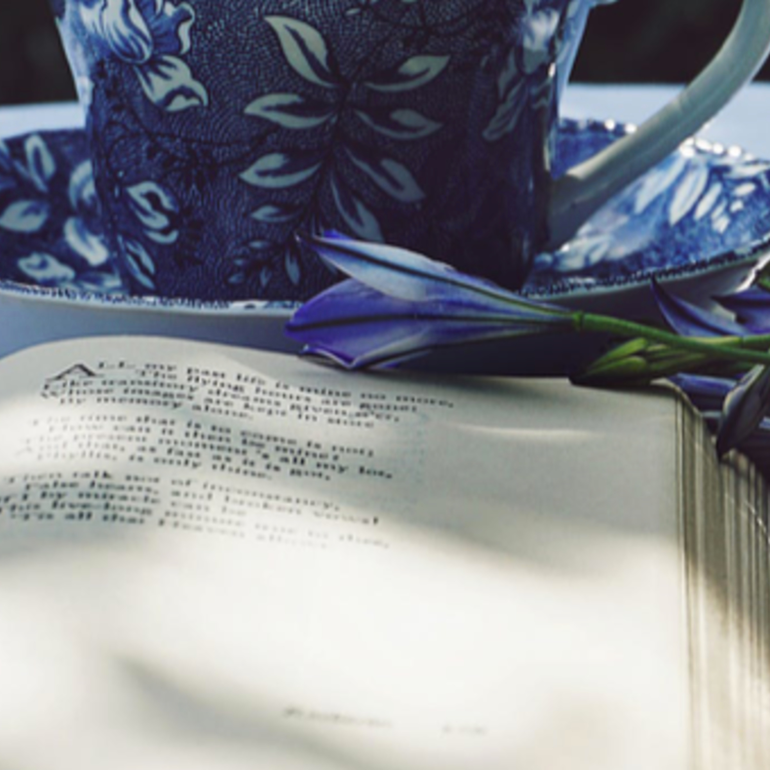 Finding Your Voice: A Conversation with Cassie Premo Steele