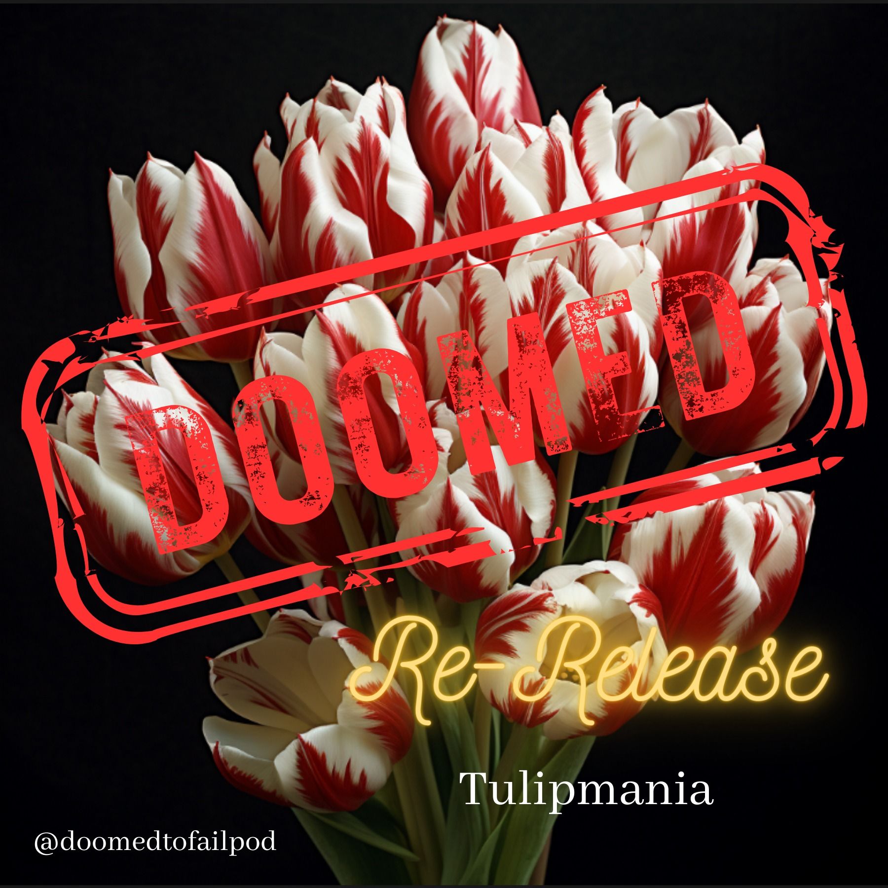 Ep 11 - Part 1: Blossoms and Bubbles: The Saga of Tulipmania
