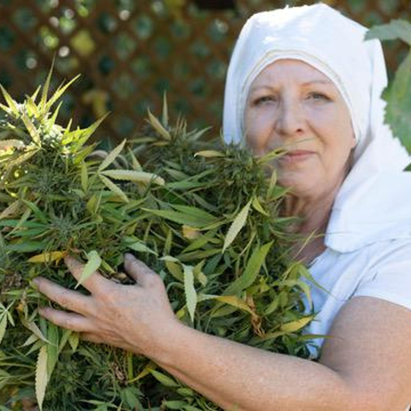 The Canna Mom Show