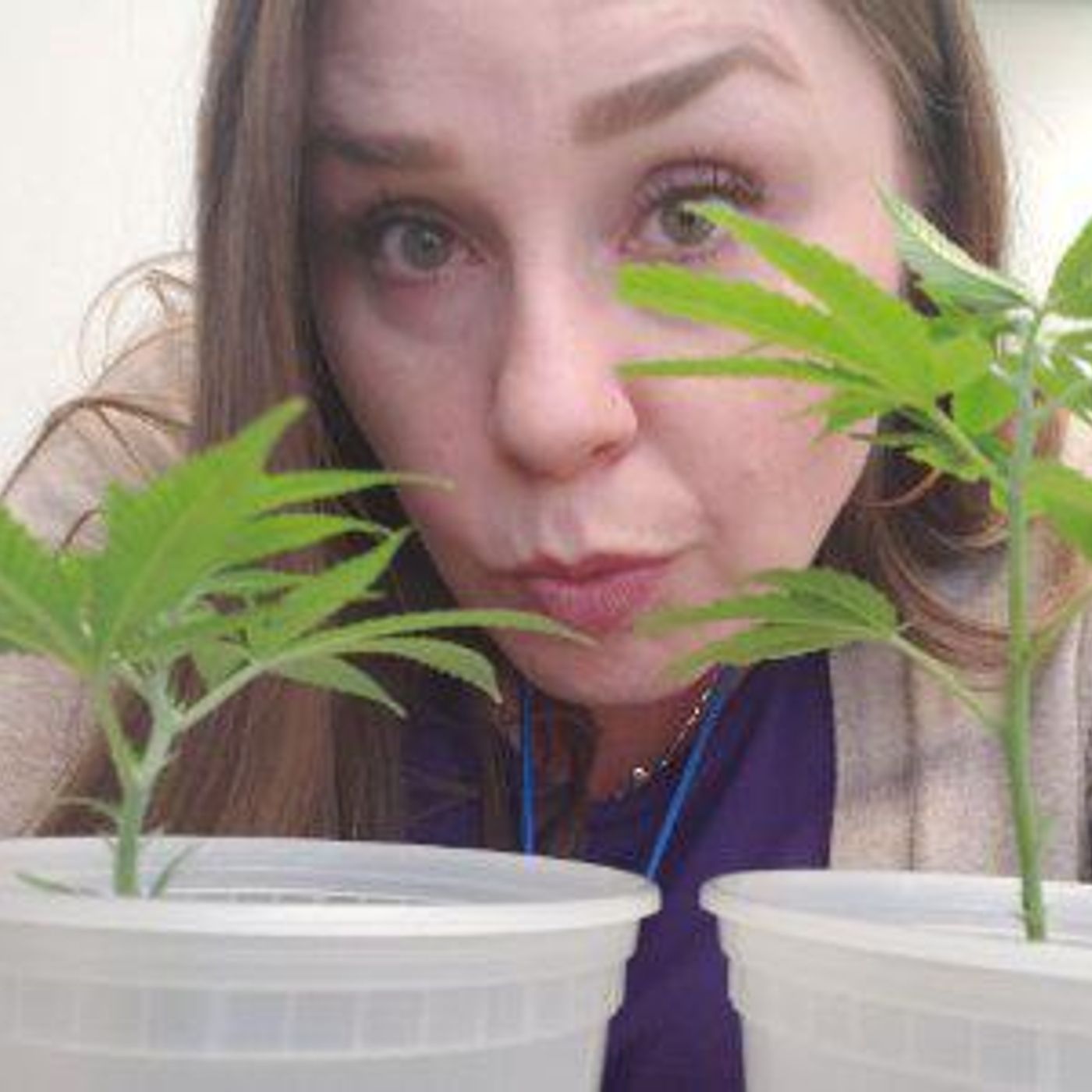 The Canna Mom Show