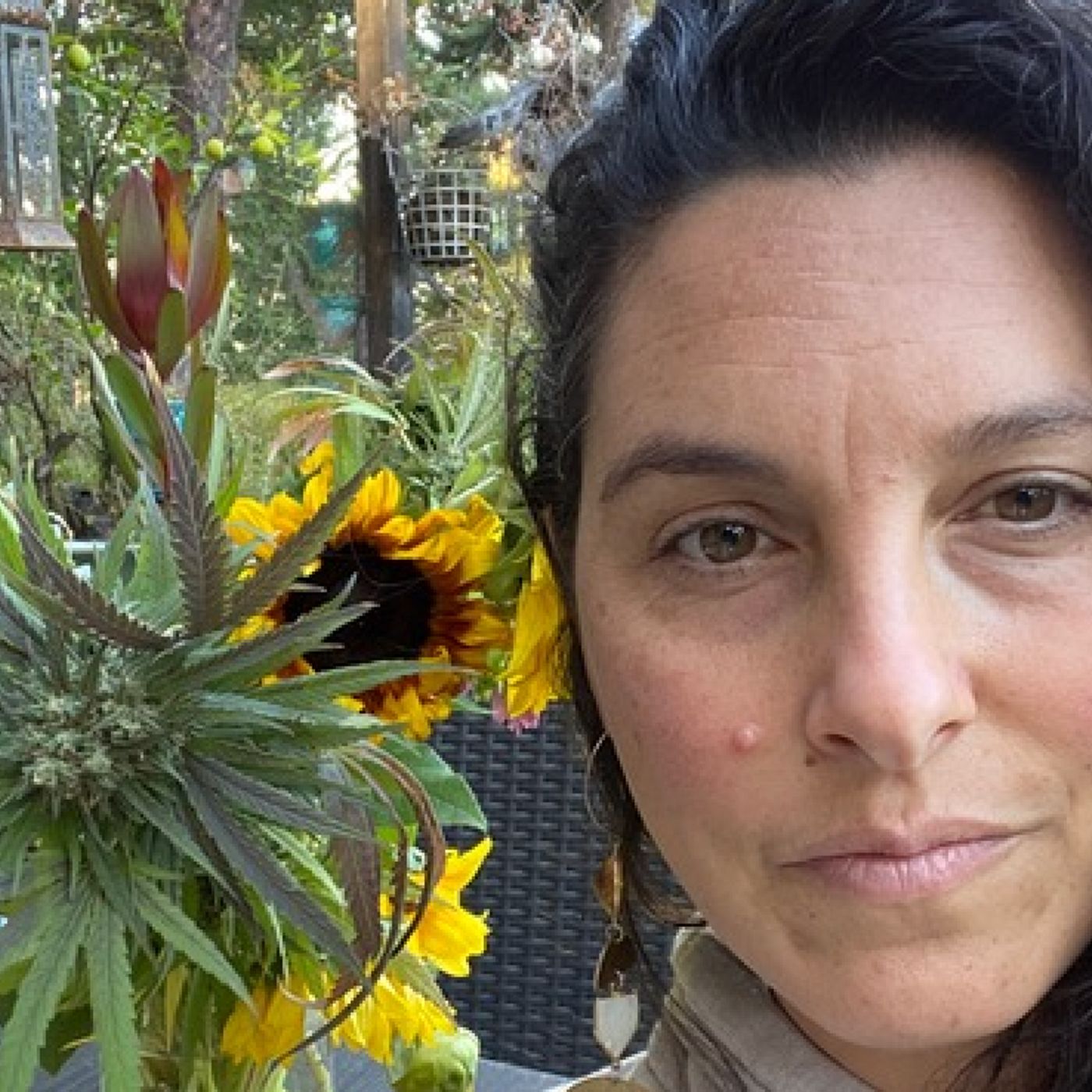 The Canna Mom Show