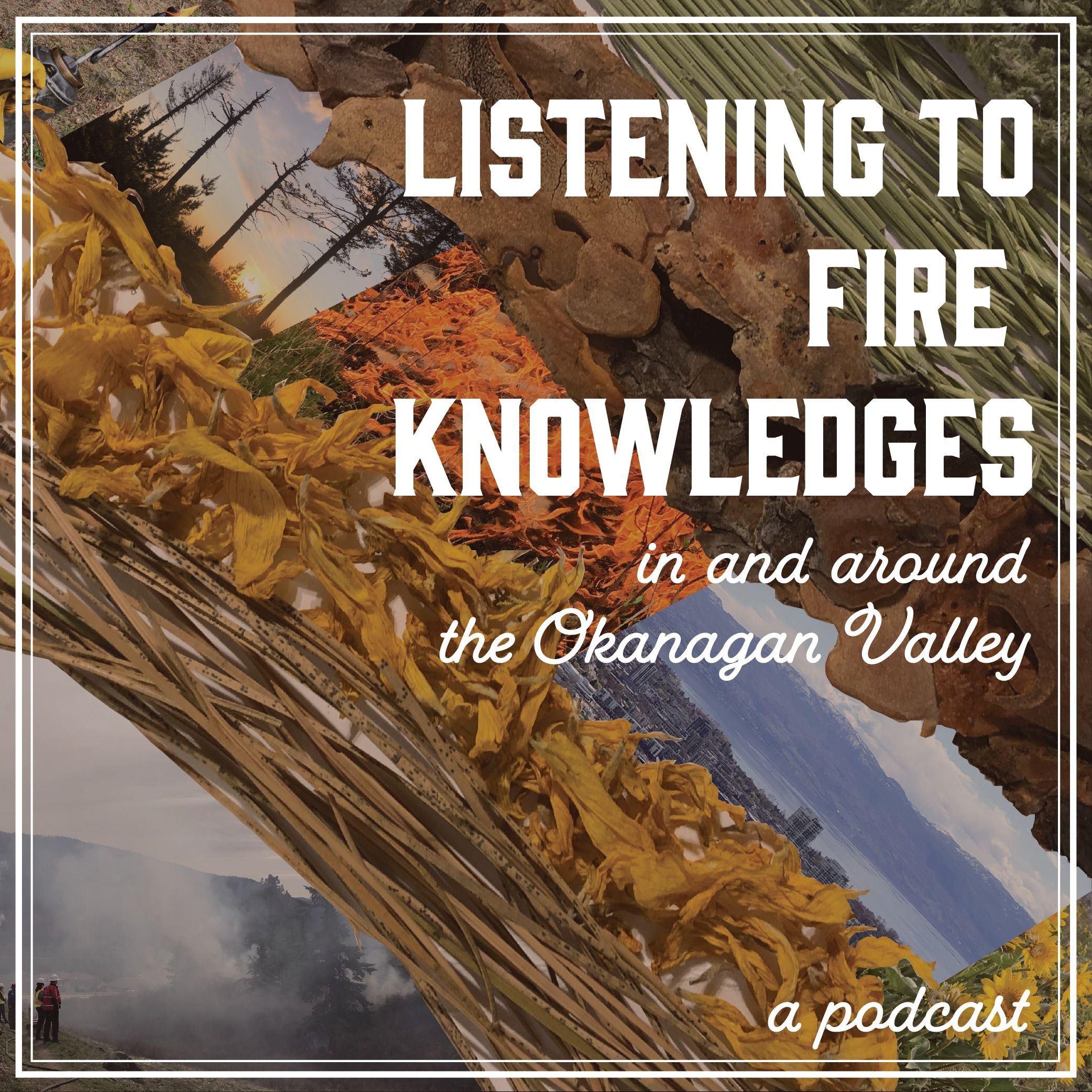 Listening to Fire Knowledges in and around the Okanagan Valley