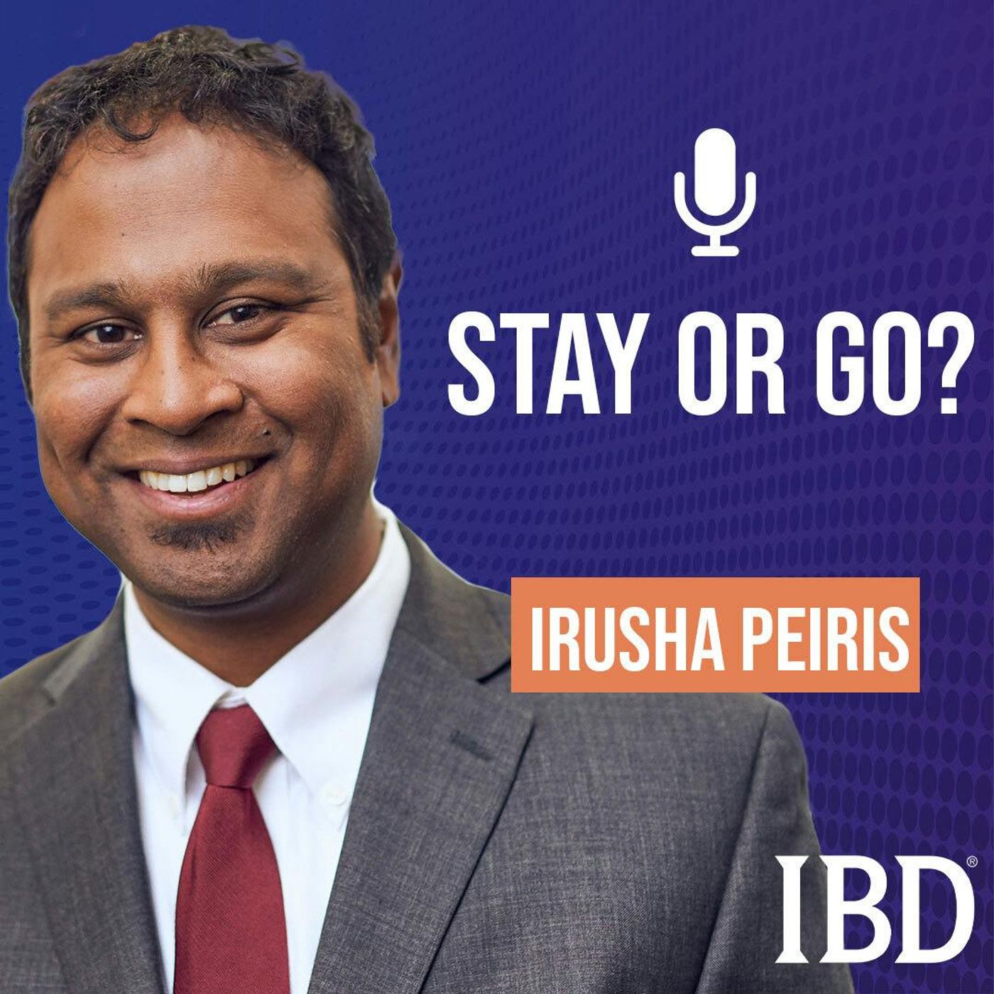 Ep. 256 Should I Stay Or Should I Go? Finding Love In Your Portfolio.