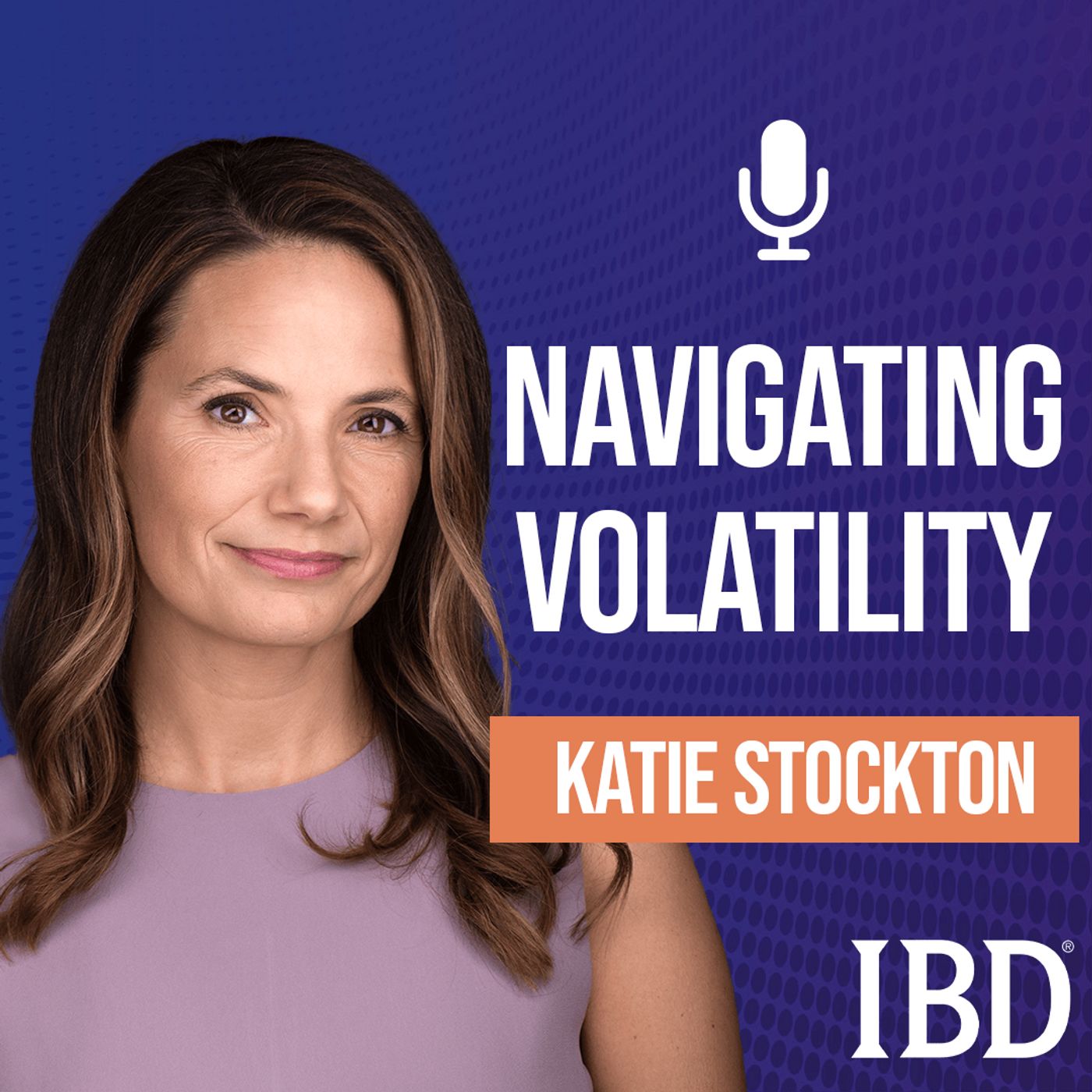 Ep. 269 More Volatility Ahead? How To Navigate Relief Rallies And Prepare For Market Shakeups