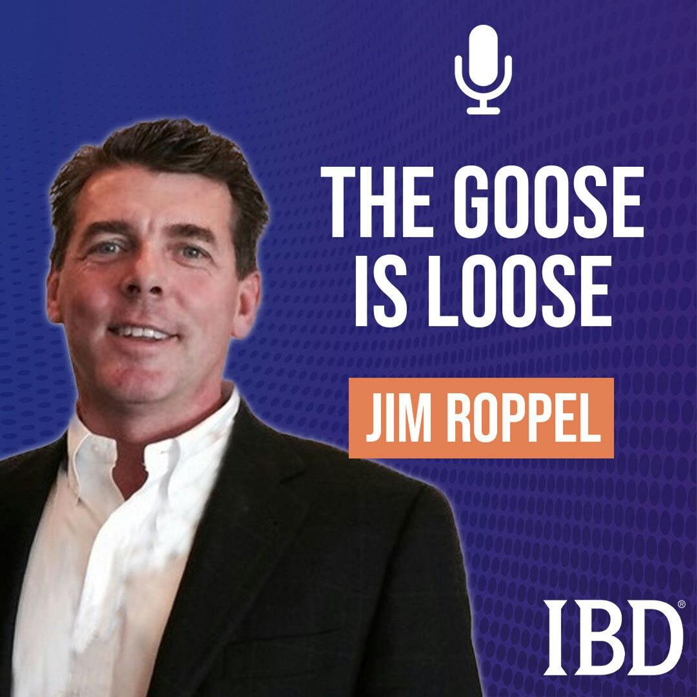 Ep. 270 The Golden Goose Is Running Loose: Key Winners Set Up As Bull Trend Continues
