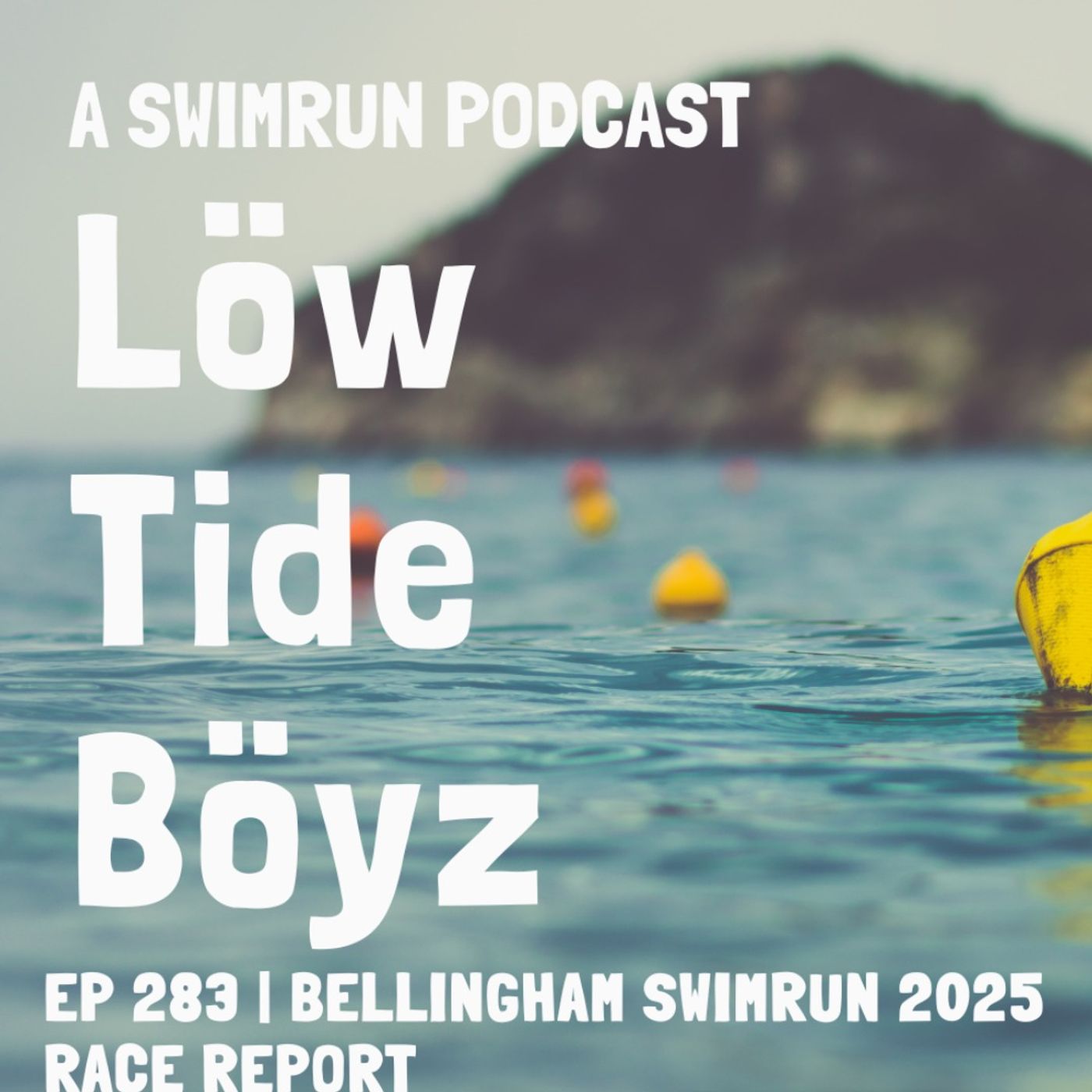 Bellingham Swimrun 2025 Race Report