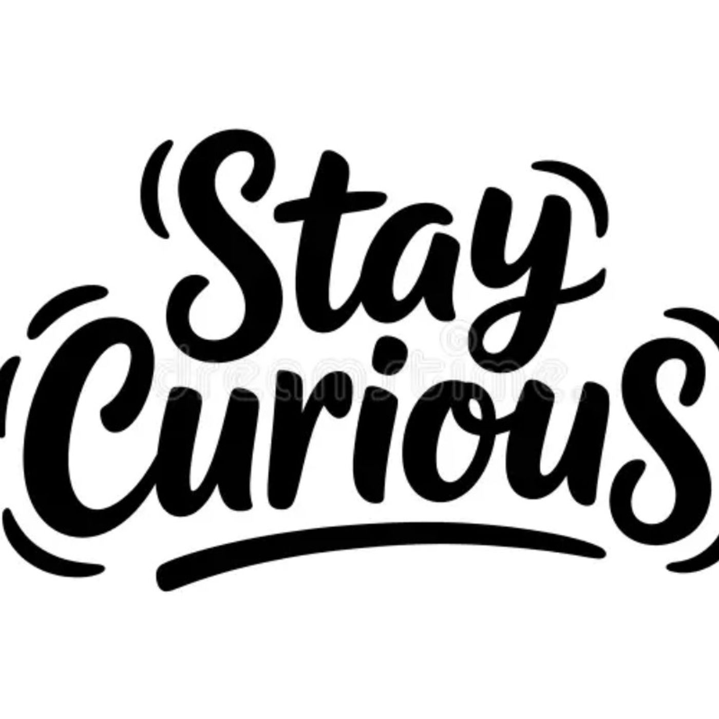 Stay Curious cover art