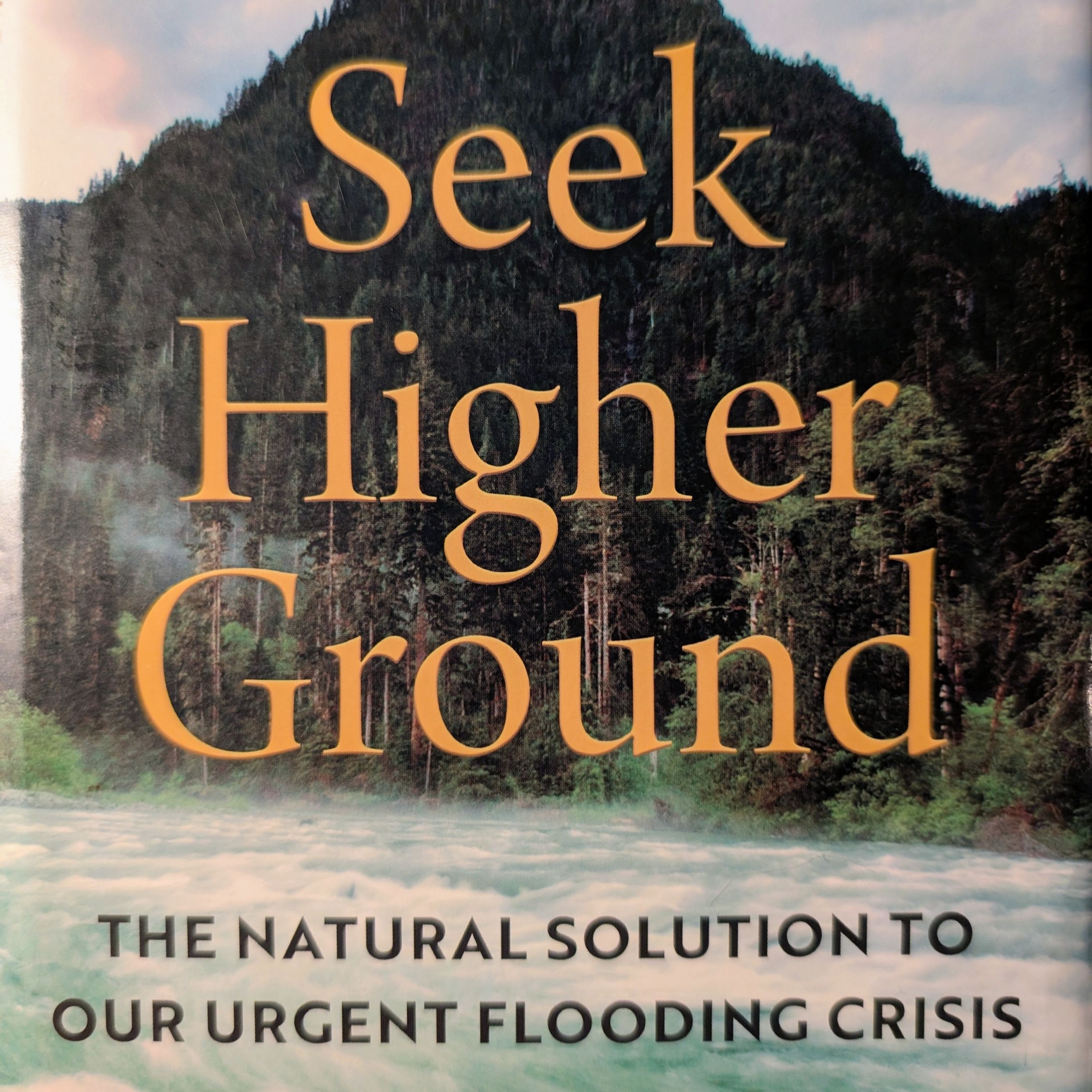 Seek Higher Ground - Tim Palmer on His Lifelong Relationship to Floodwaters