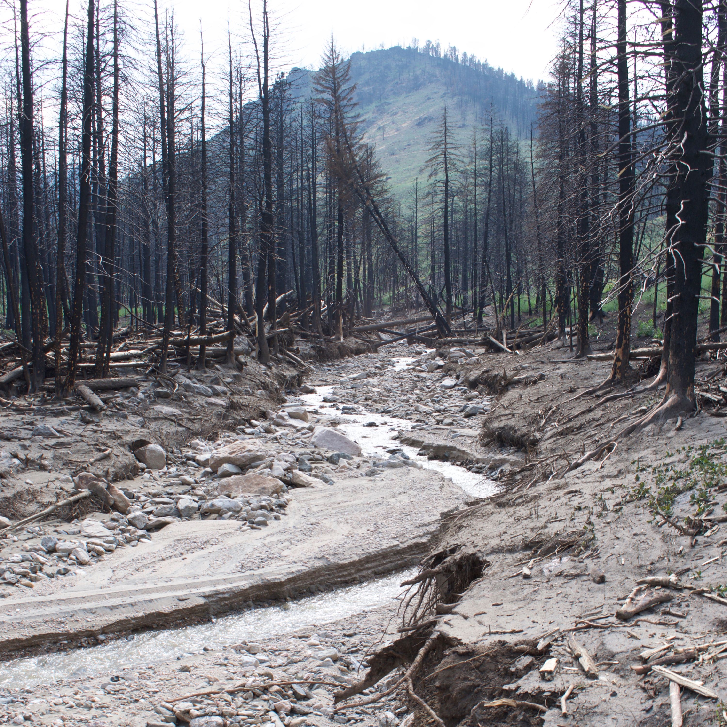 Fires & Floods
