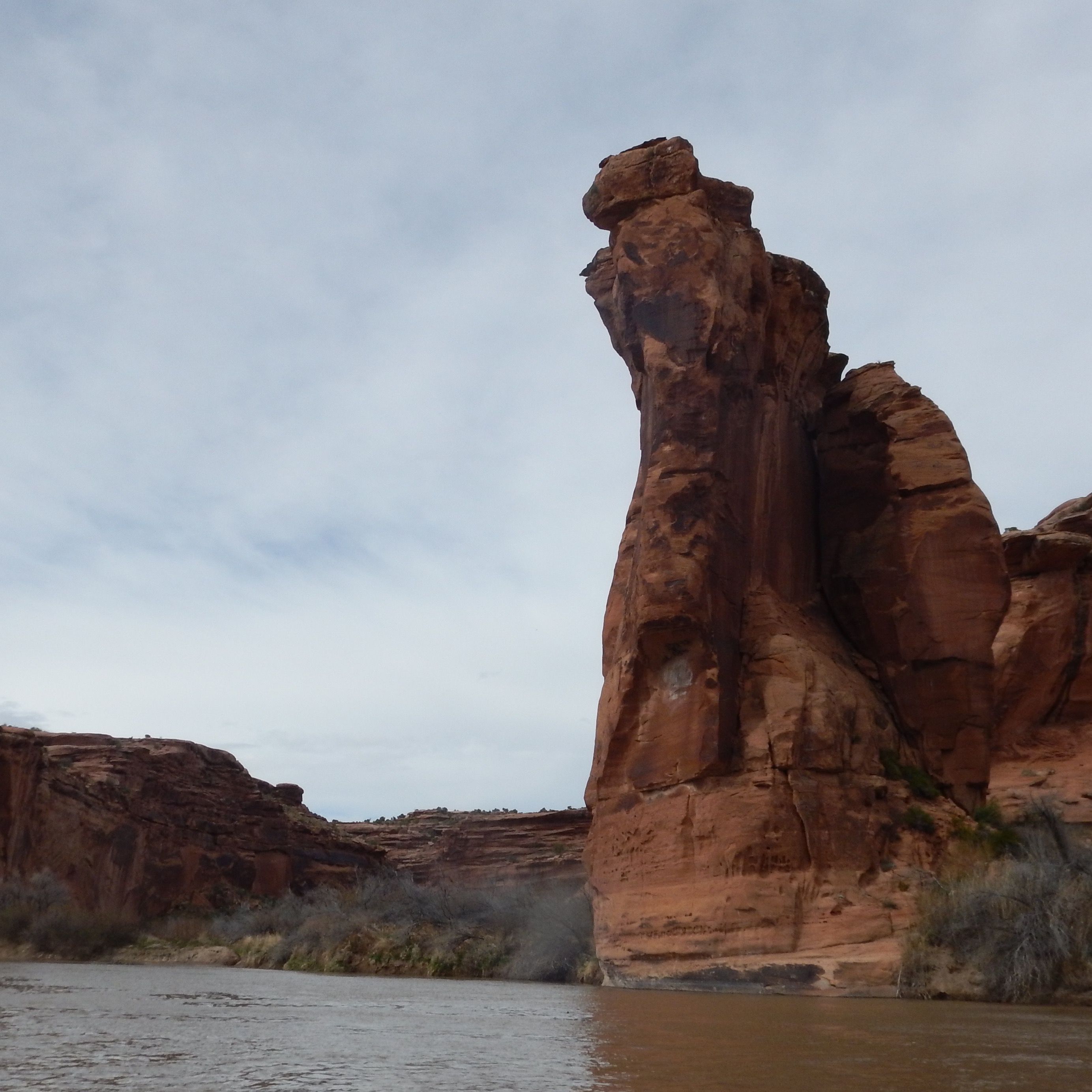 Freedom River