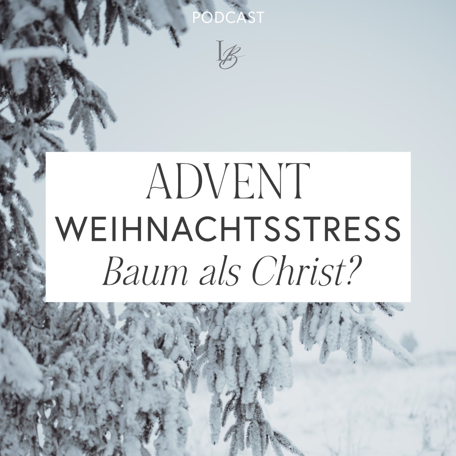 Weihnachtsstress, Advent, Baum als Christ?