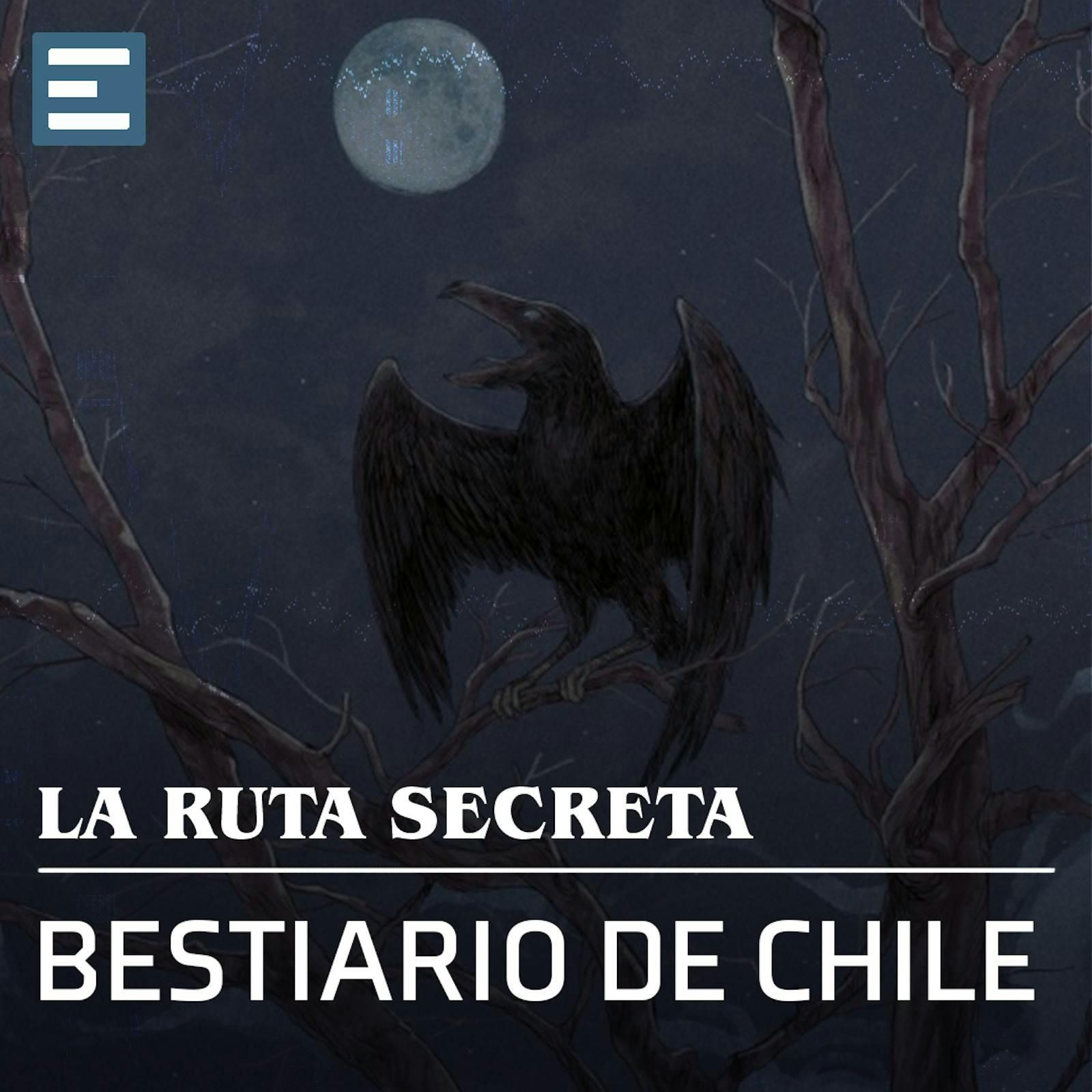 Bestiario de Chile