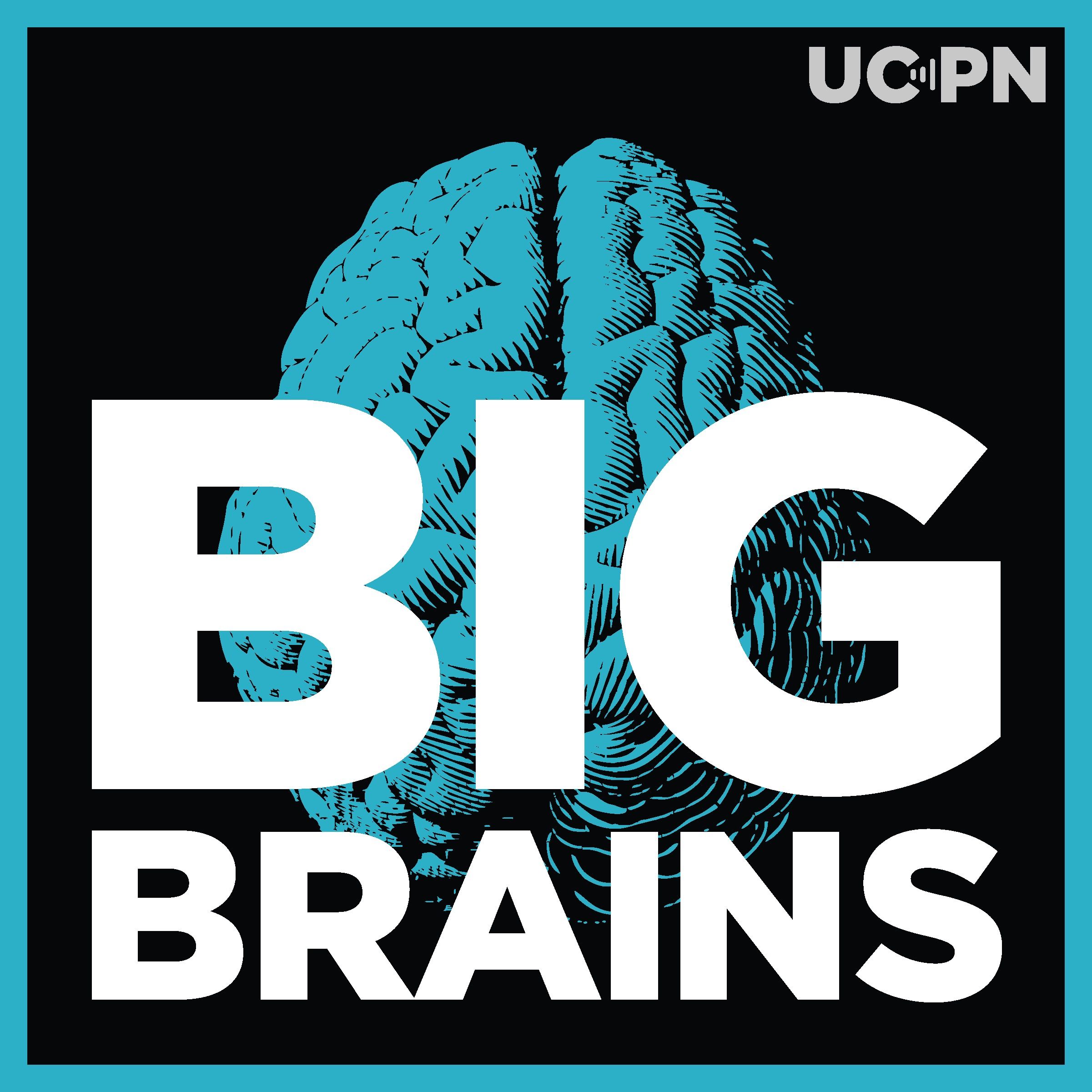 Could We Vaccinate Against Opioid Addiction? With Sandra Comer And Marco Pravetoni - podcast episode cover