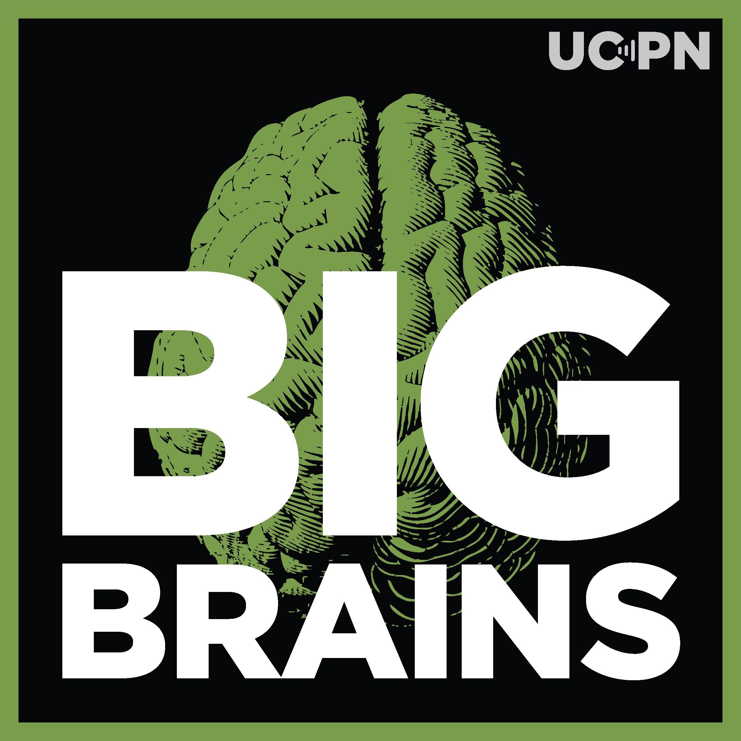 The Troubling Rise Of Antibiotic-resistant Superbugs, With Christopher Murray - podcast episode cover