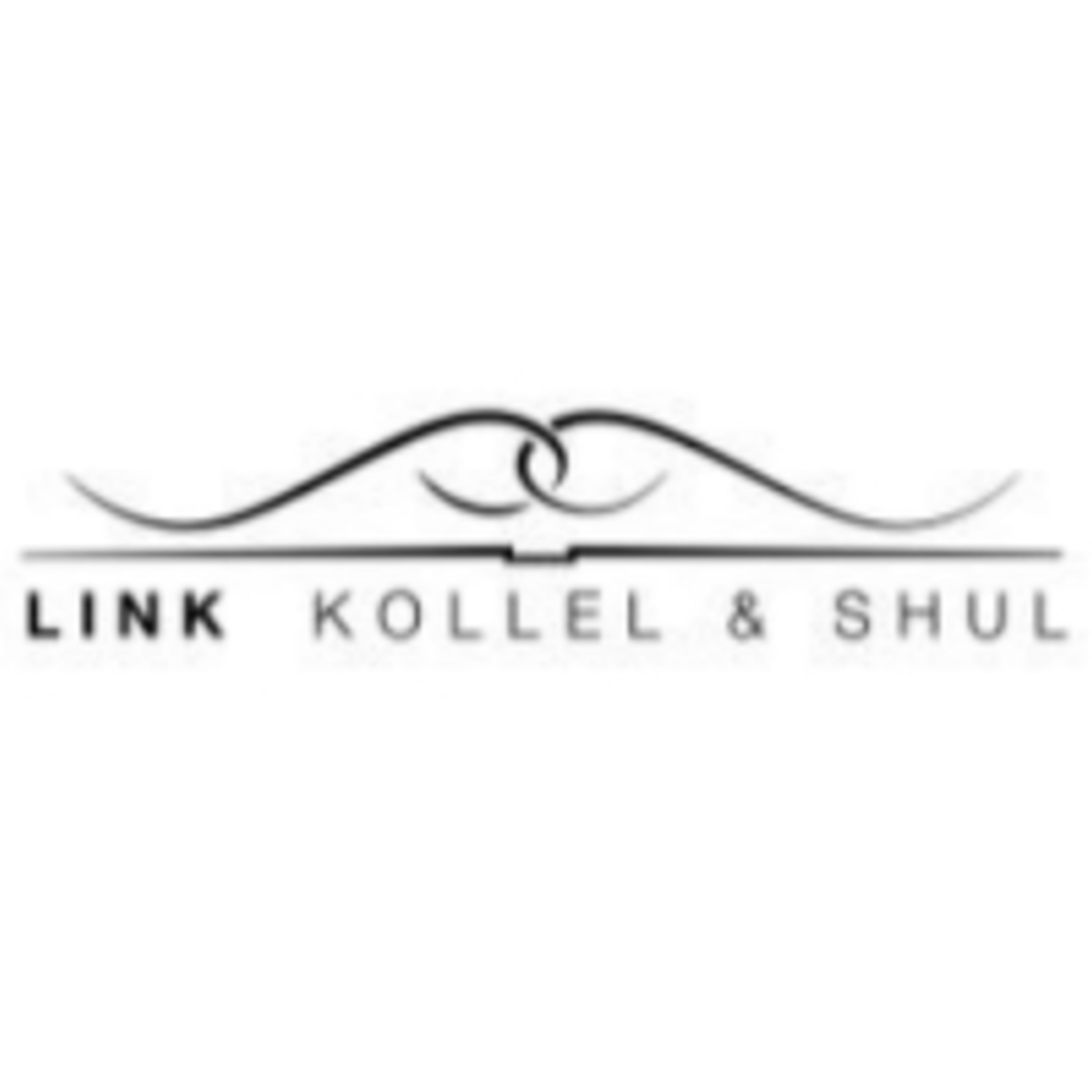 LINK Kollel & Shul Torah Library
